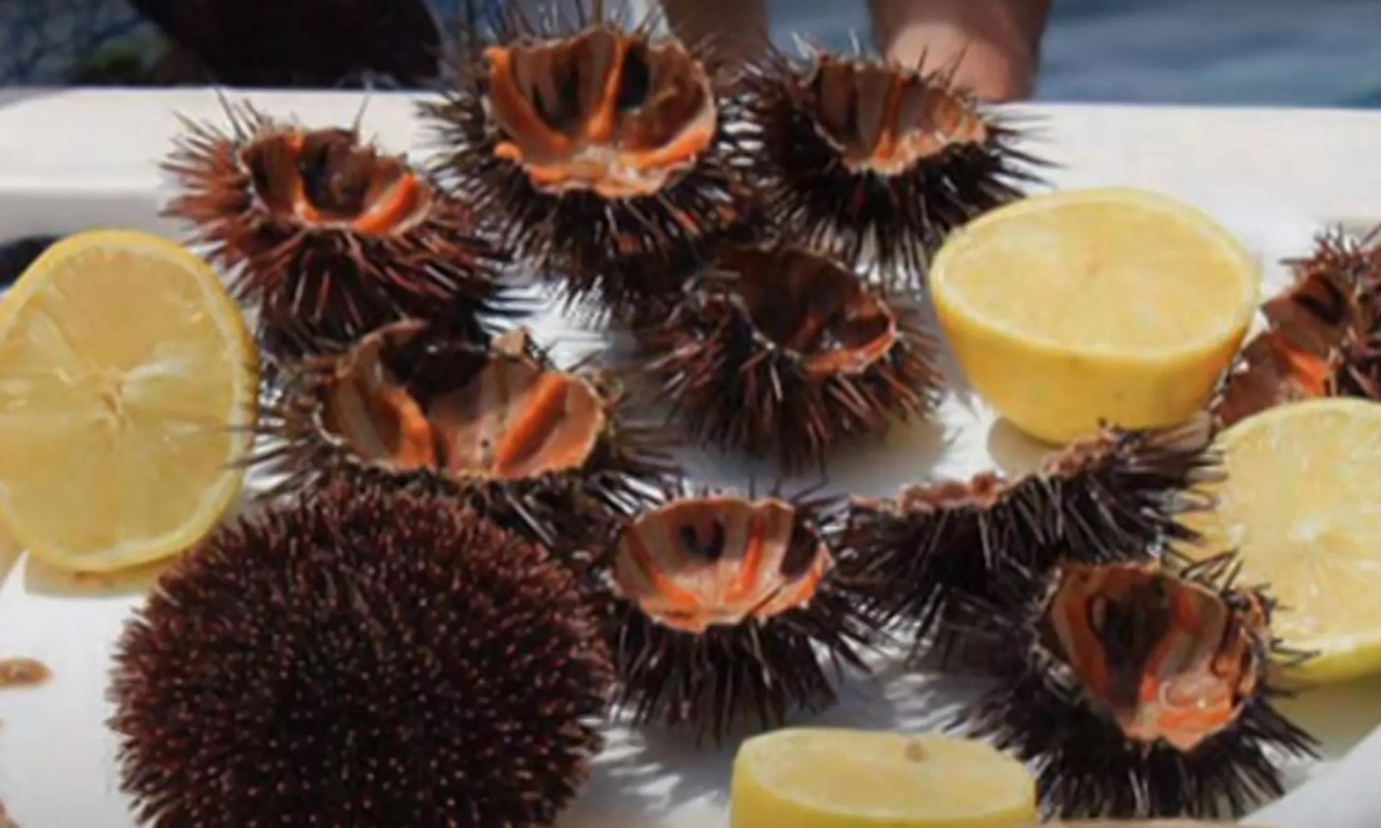 Food in Small Paradise Palermo