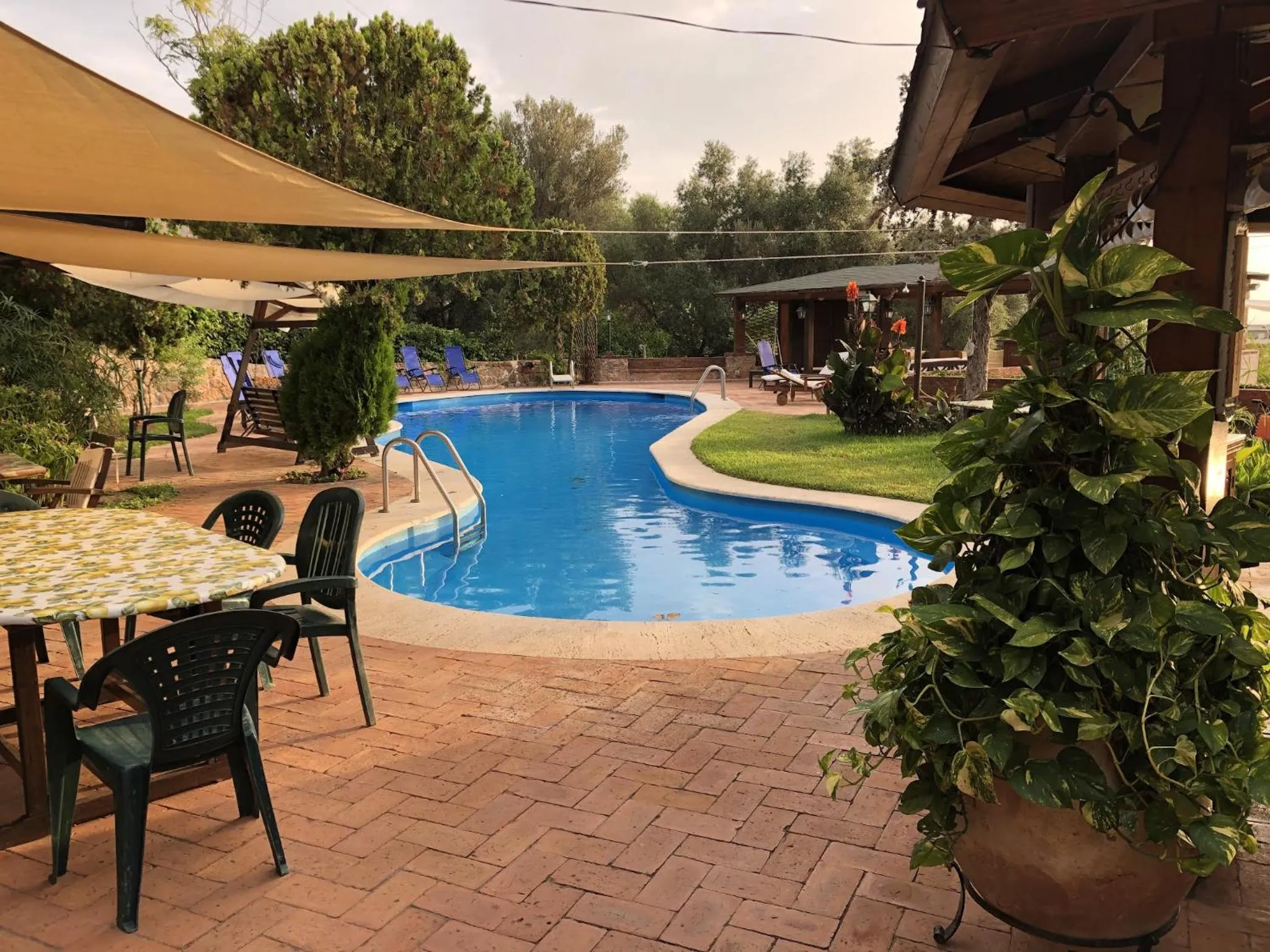 Swimming pool in Small Paradise Palermo