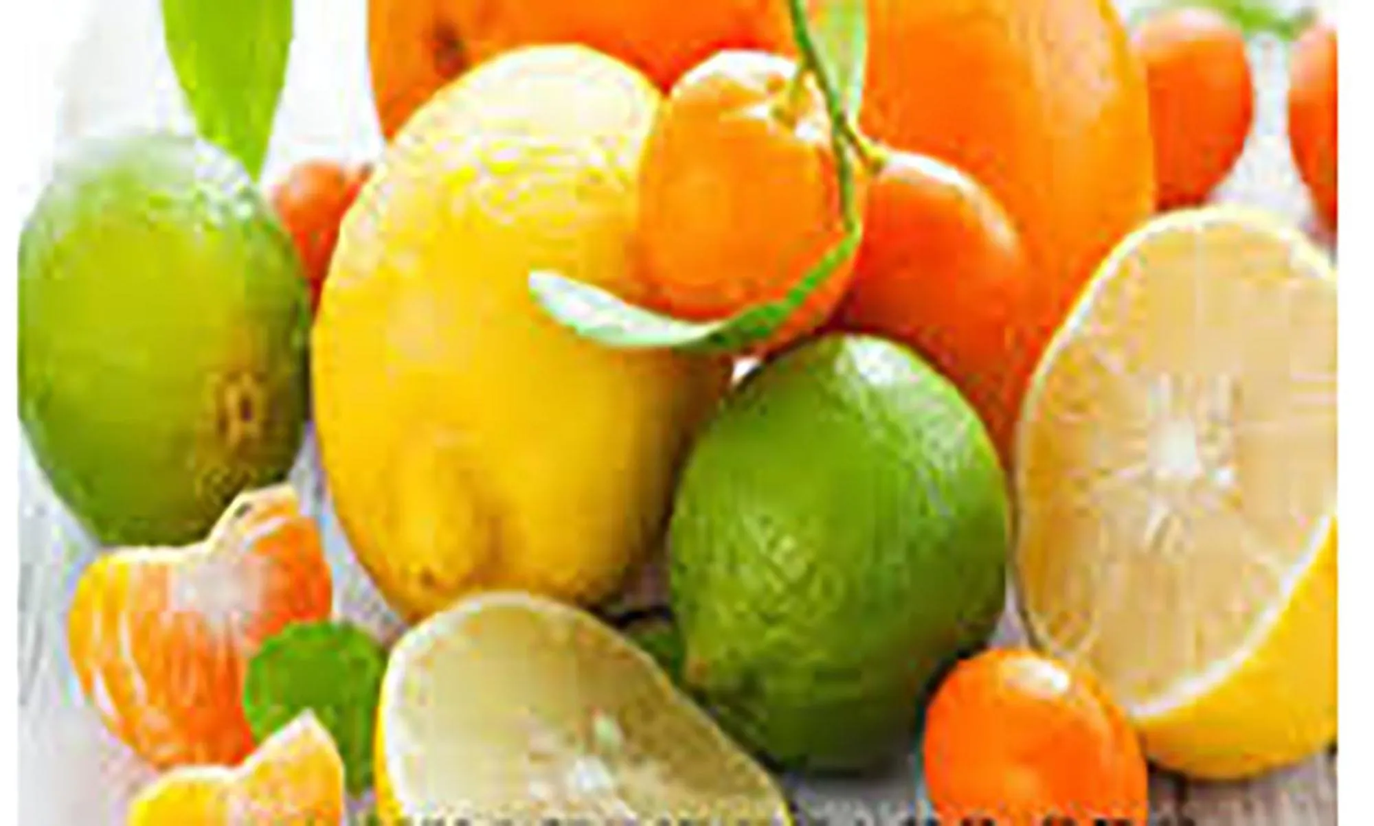 Food in Small Paradise Palermo