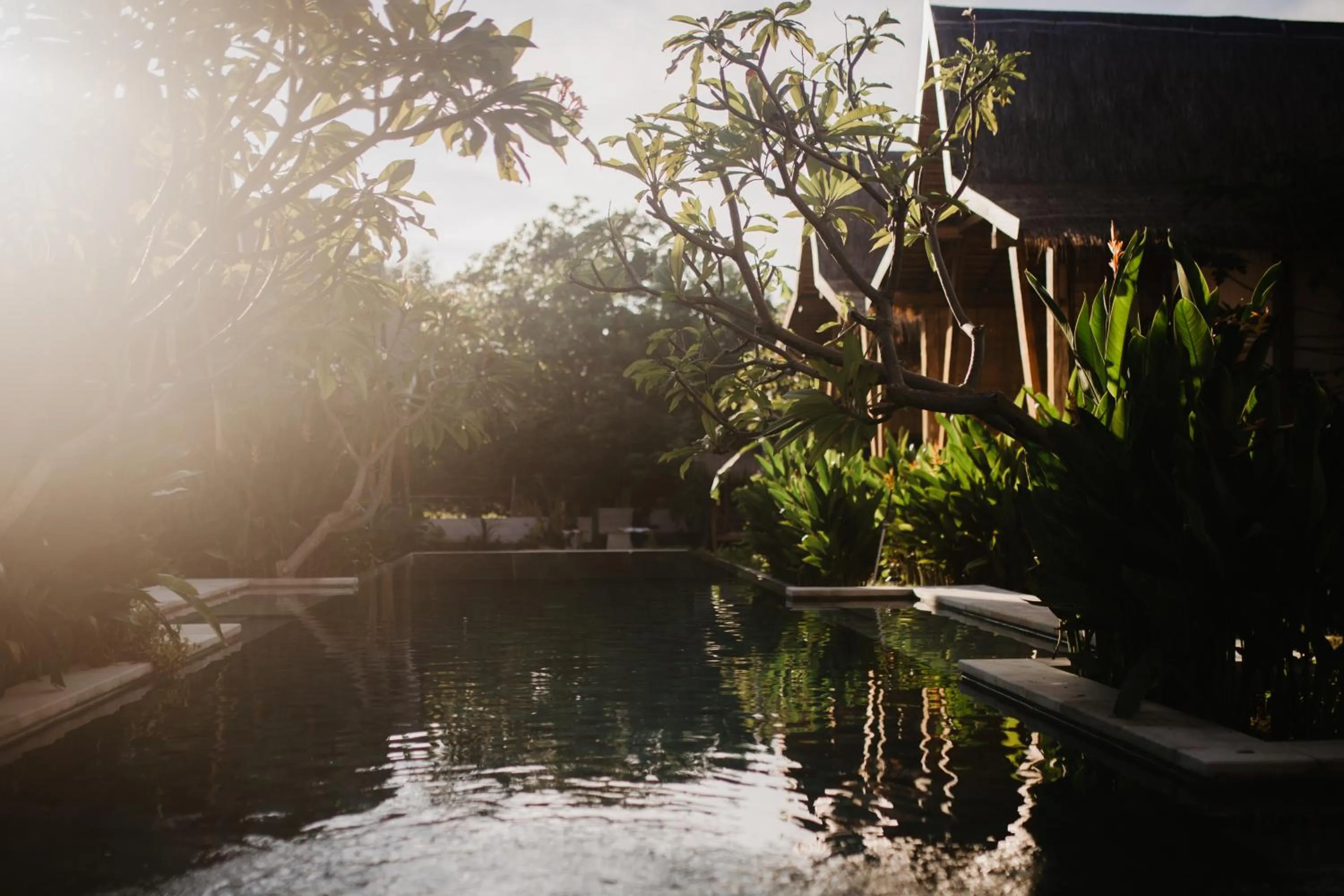 Swimming pool in Kalyssa Beach Bungalows