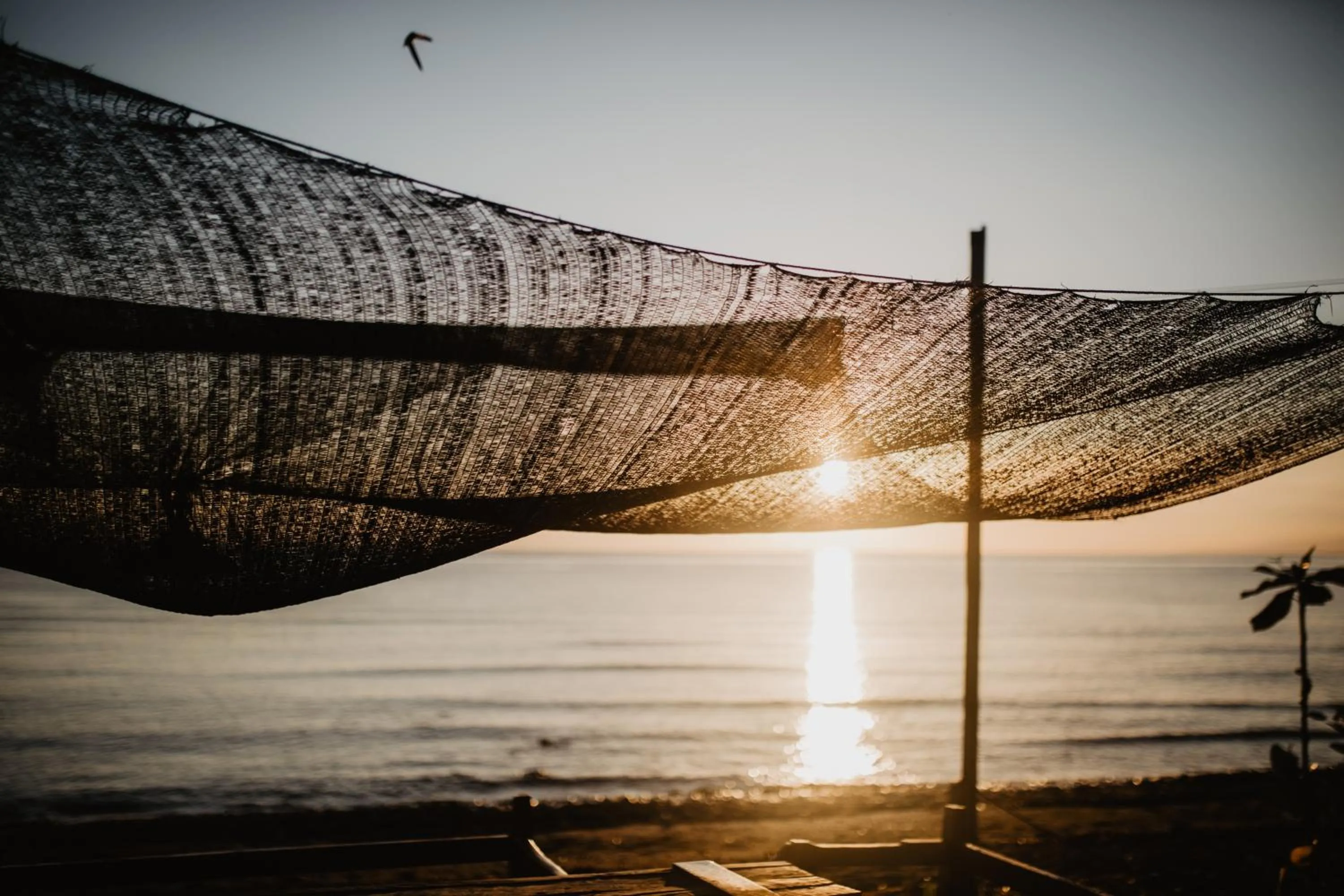 Natural landscape in Kalyssa Beach Bungalows