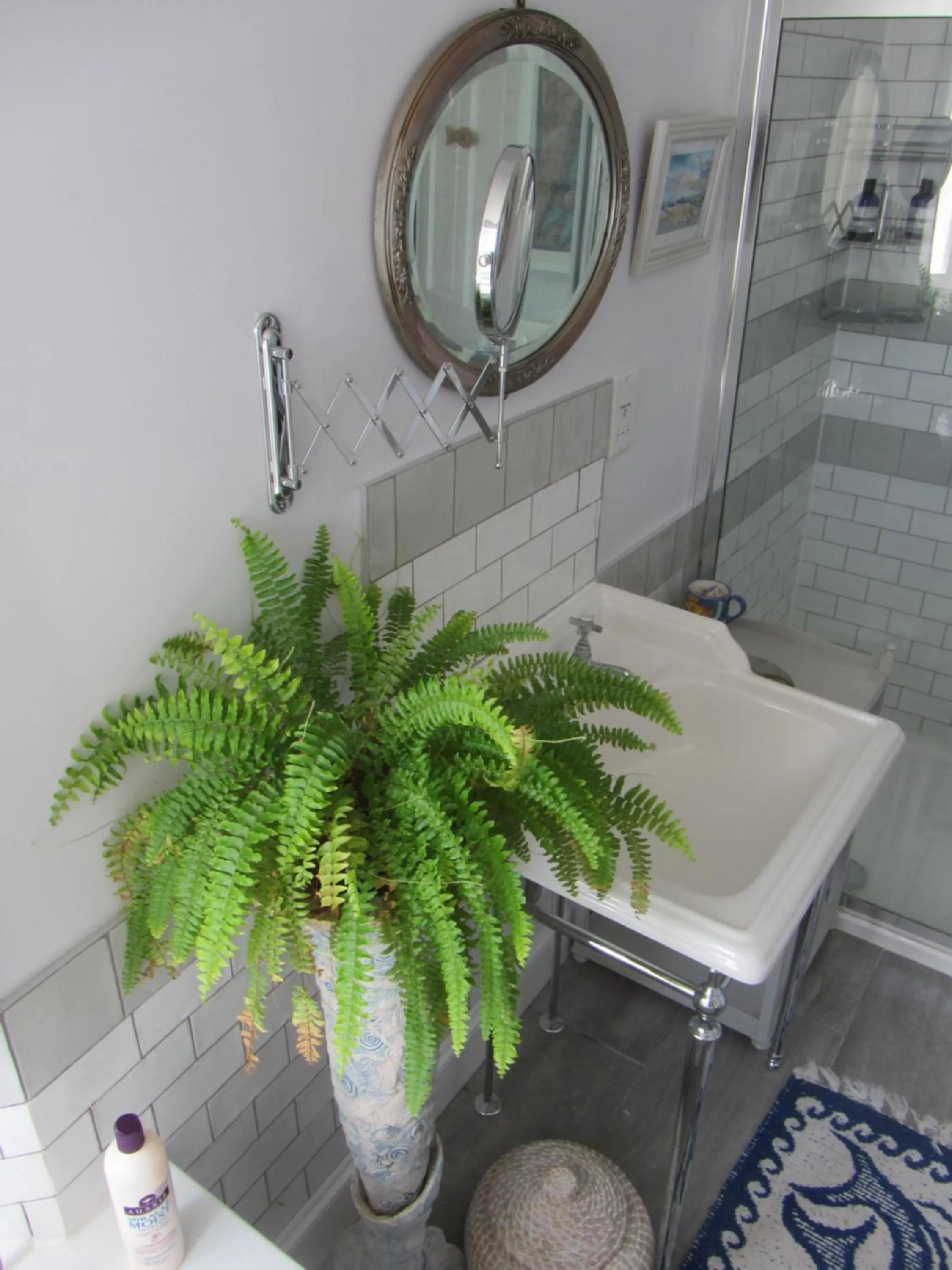 Bathroom in Anne’s House