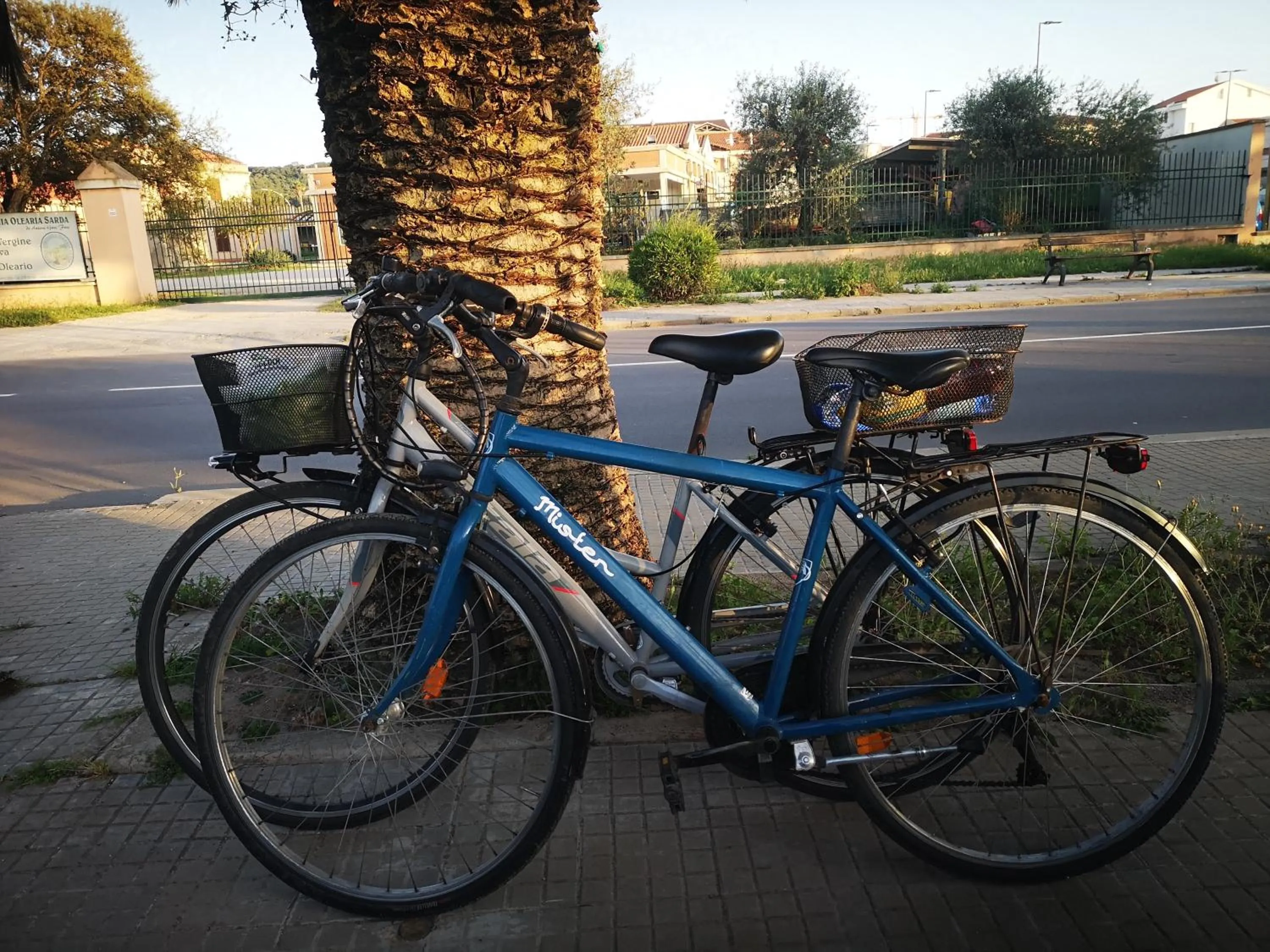 Cycling in Alghero in bicicletta