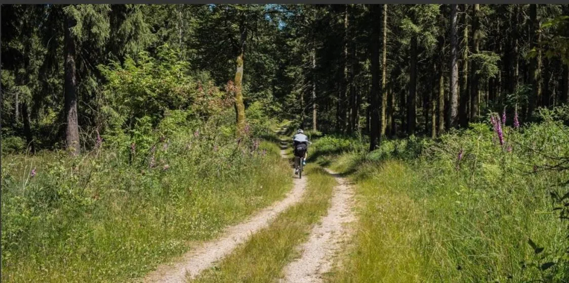 Natural landscape in Hotel Restaurant Zum Landmann