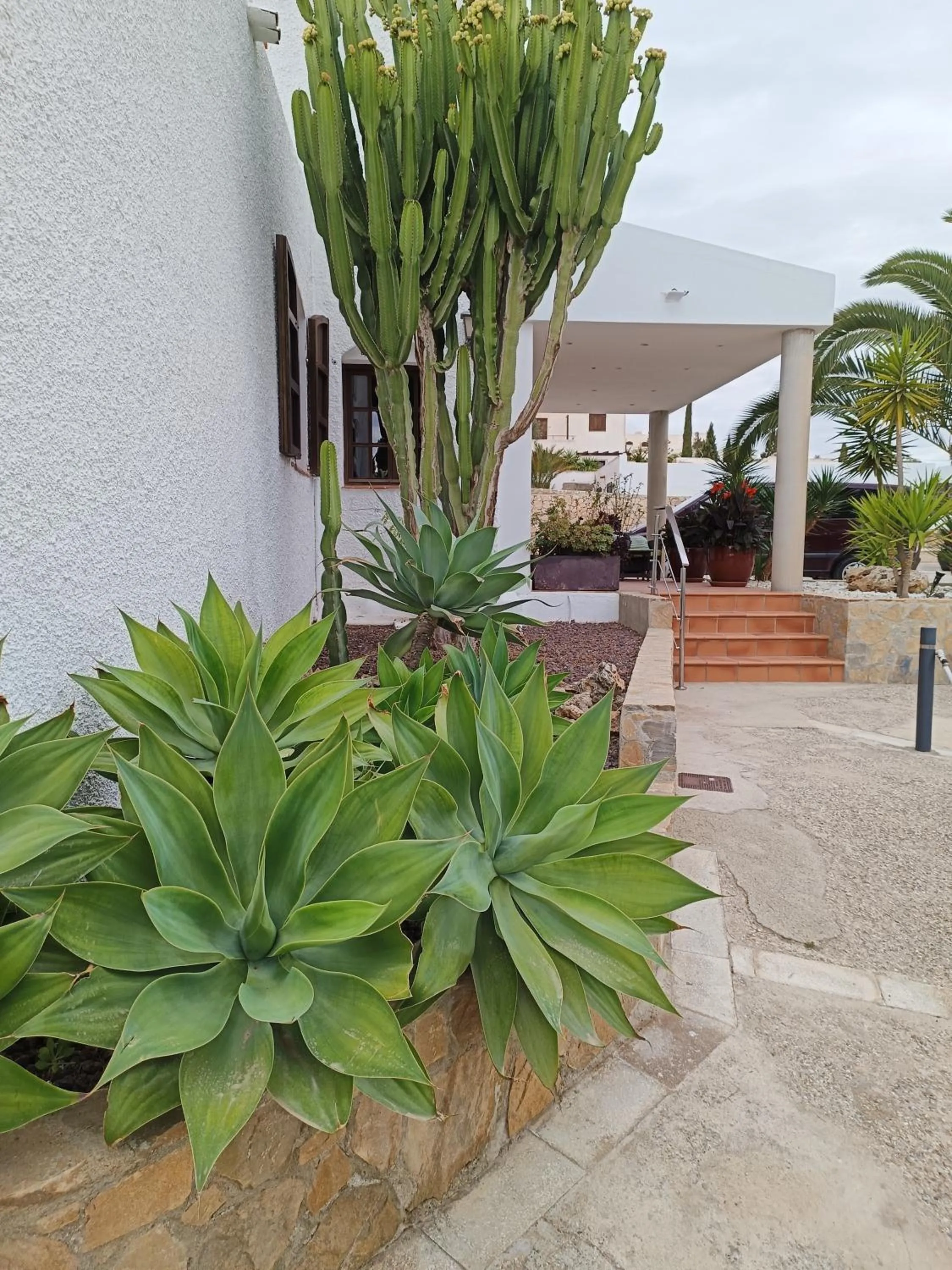 Lobby or reception in Family Agua Amarga