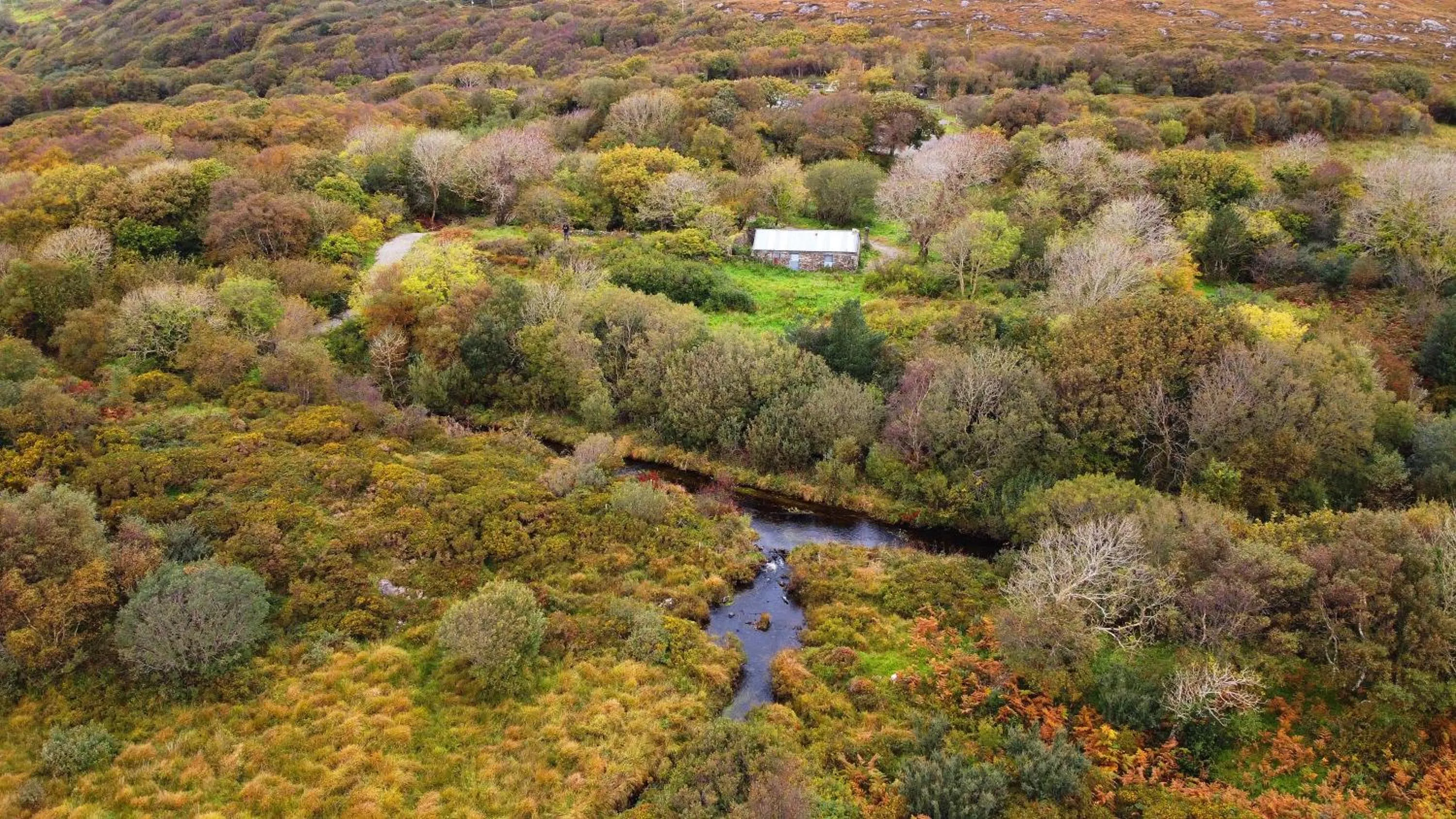 Property building in Fernwood