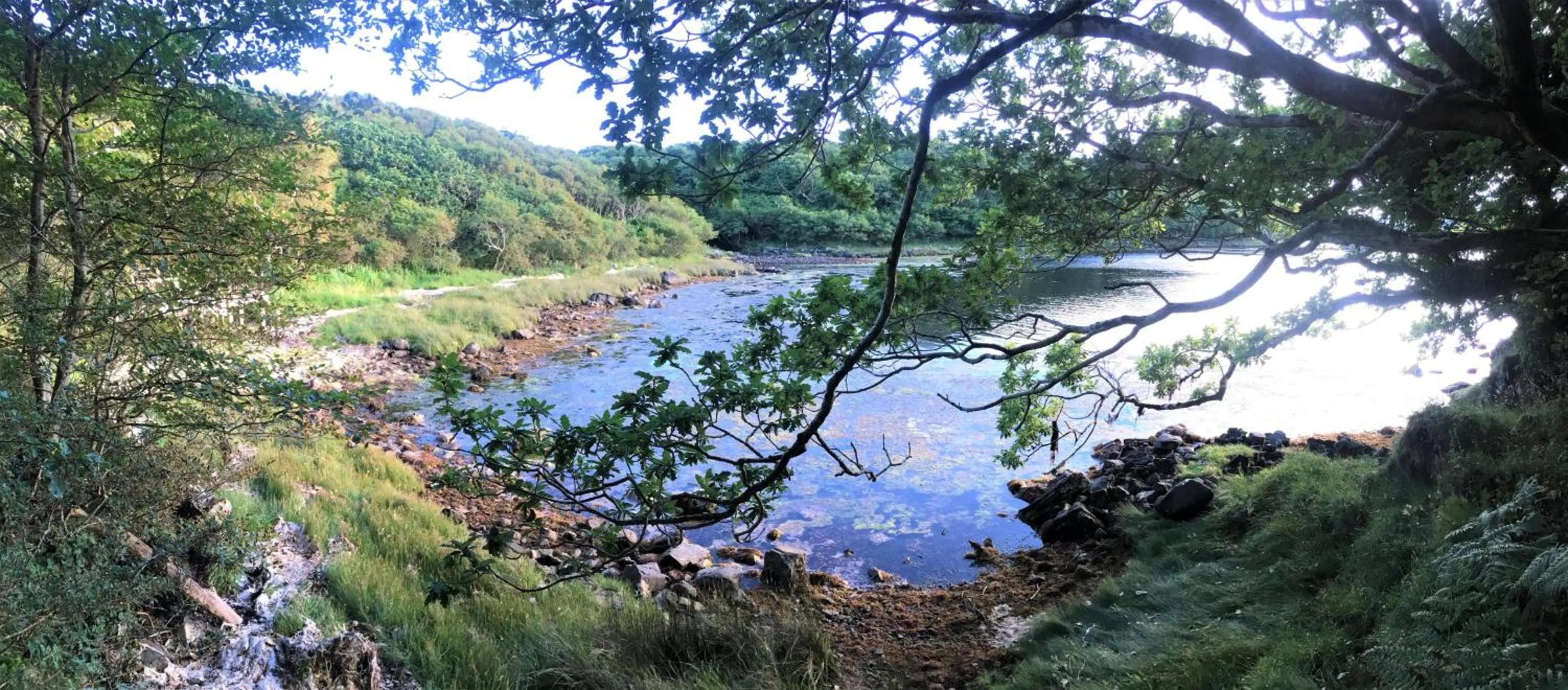 Property building in Fernwood