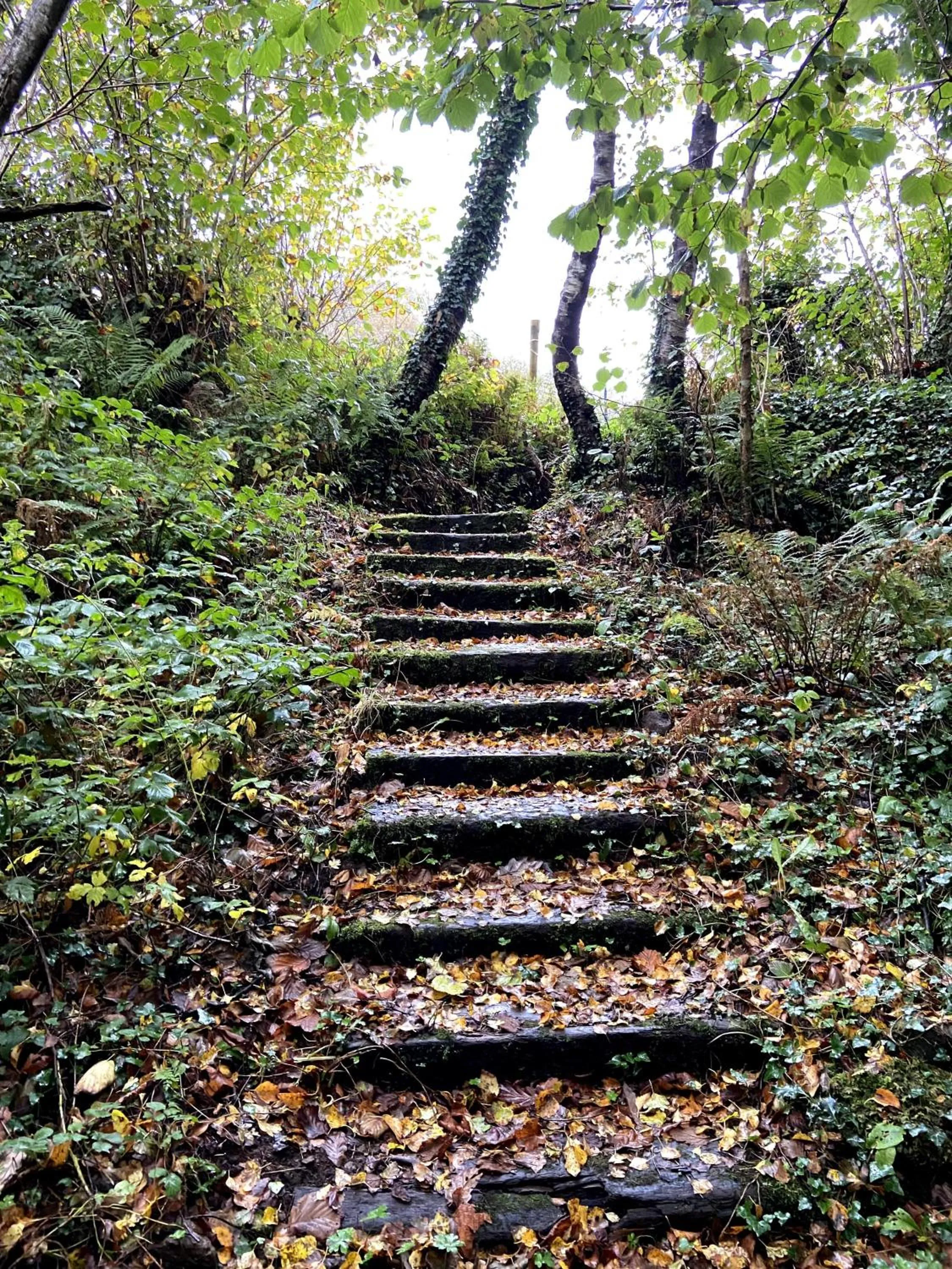 Property building in Fernwood