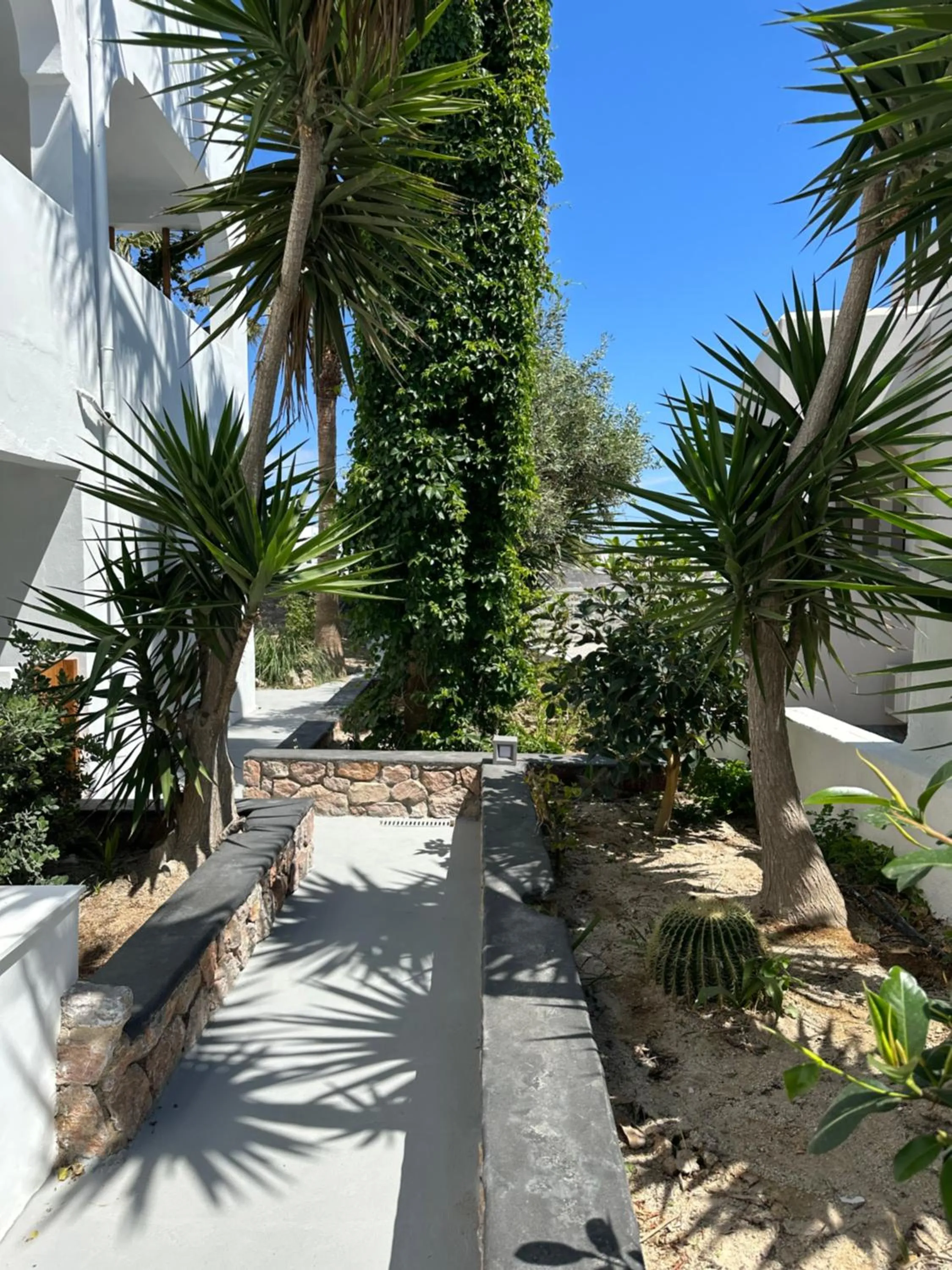 Garden in Dragonfly Villas