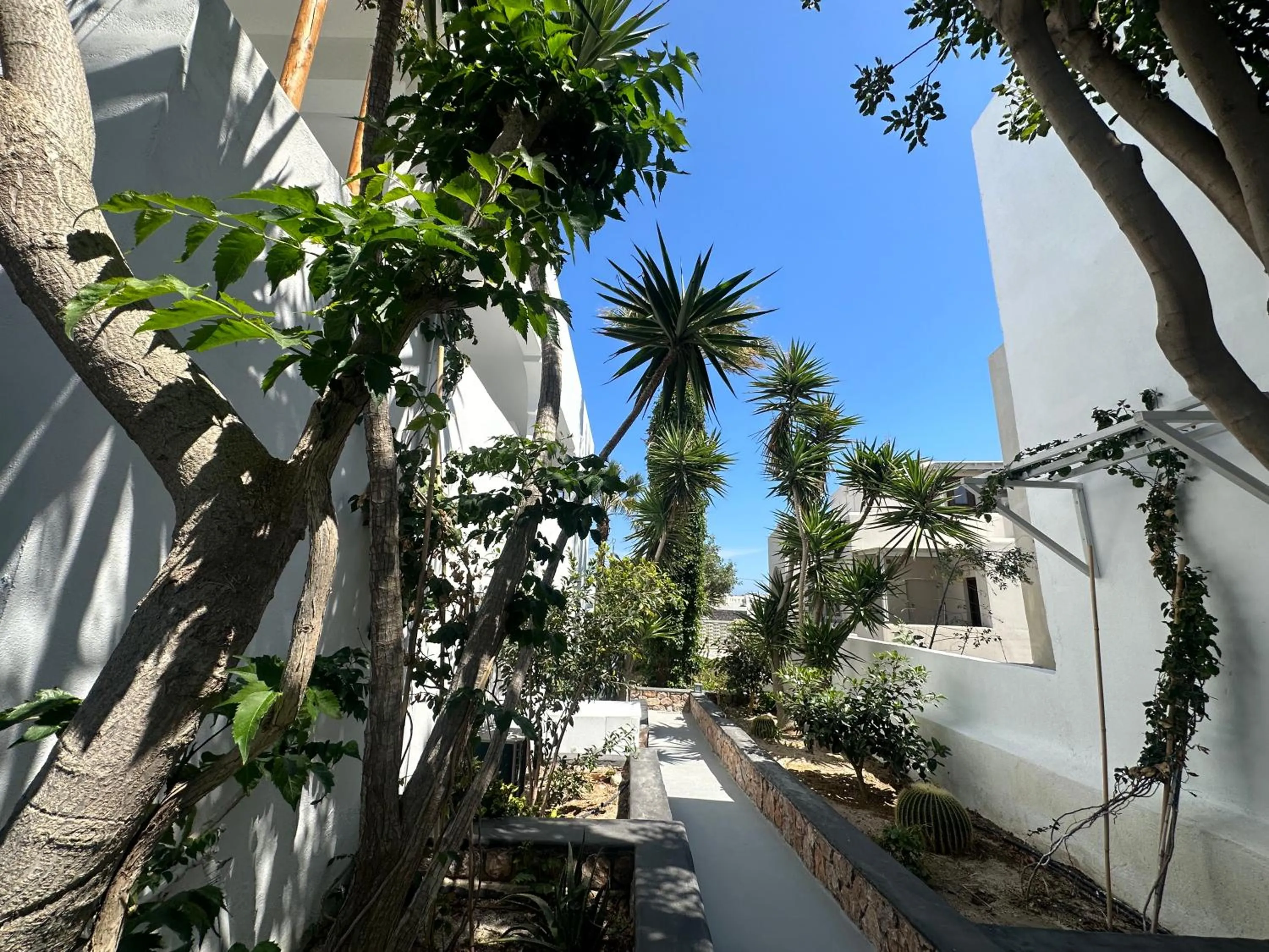 Property building in Dragonfly Villas