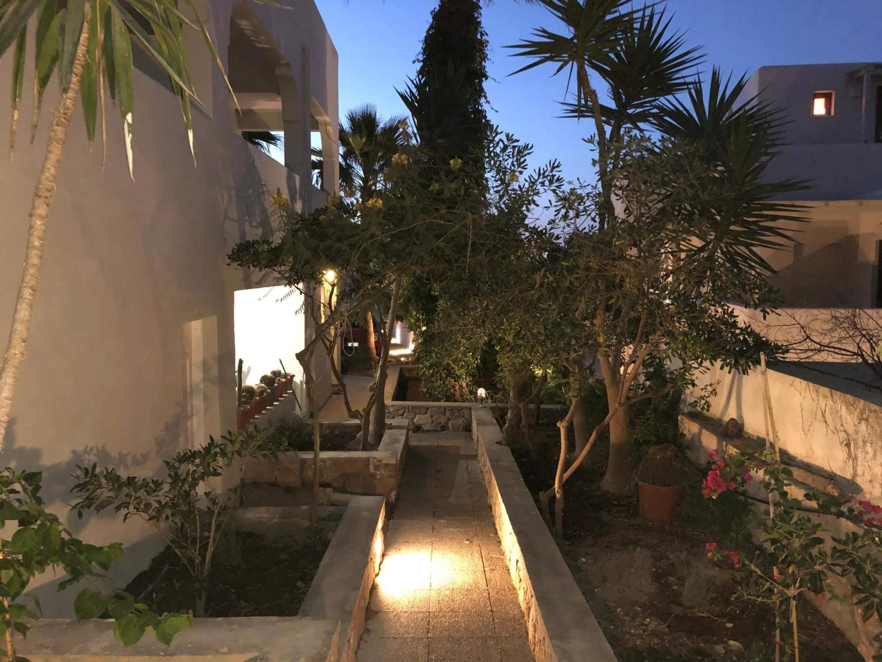 Garden in Dragonfly Villas