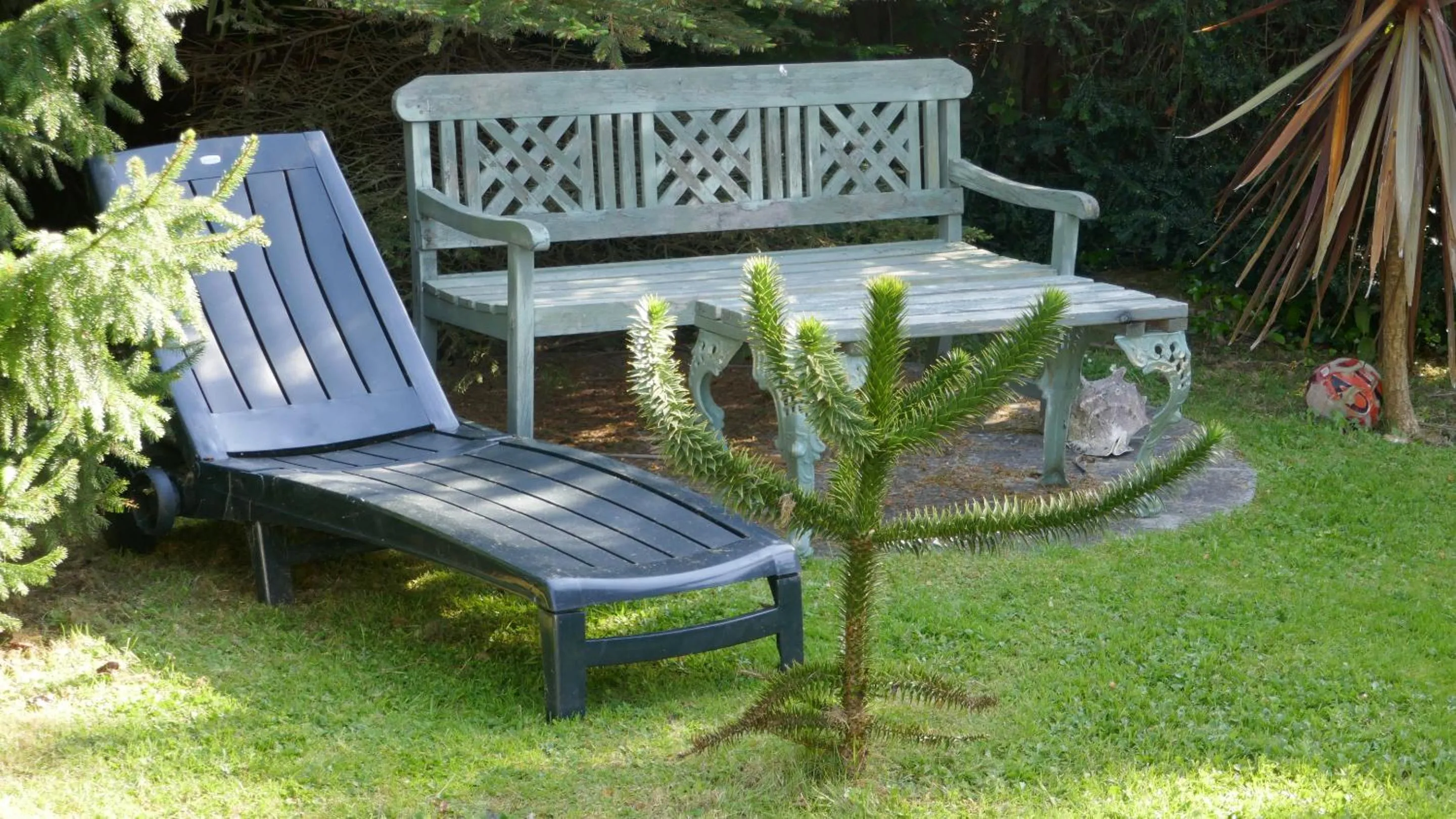 Garden in Kerrington House