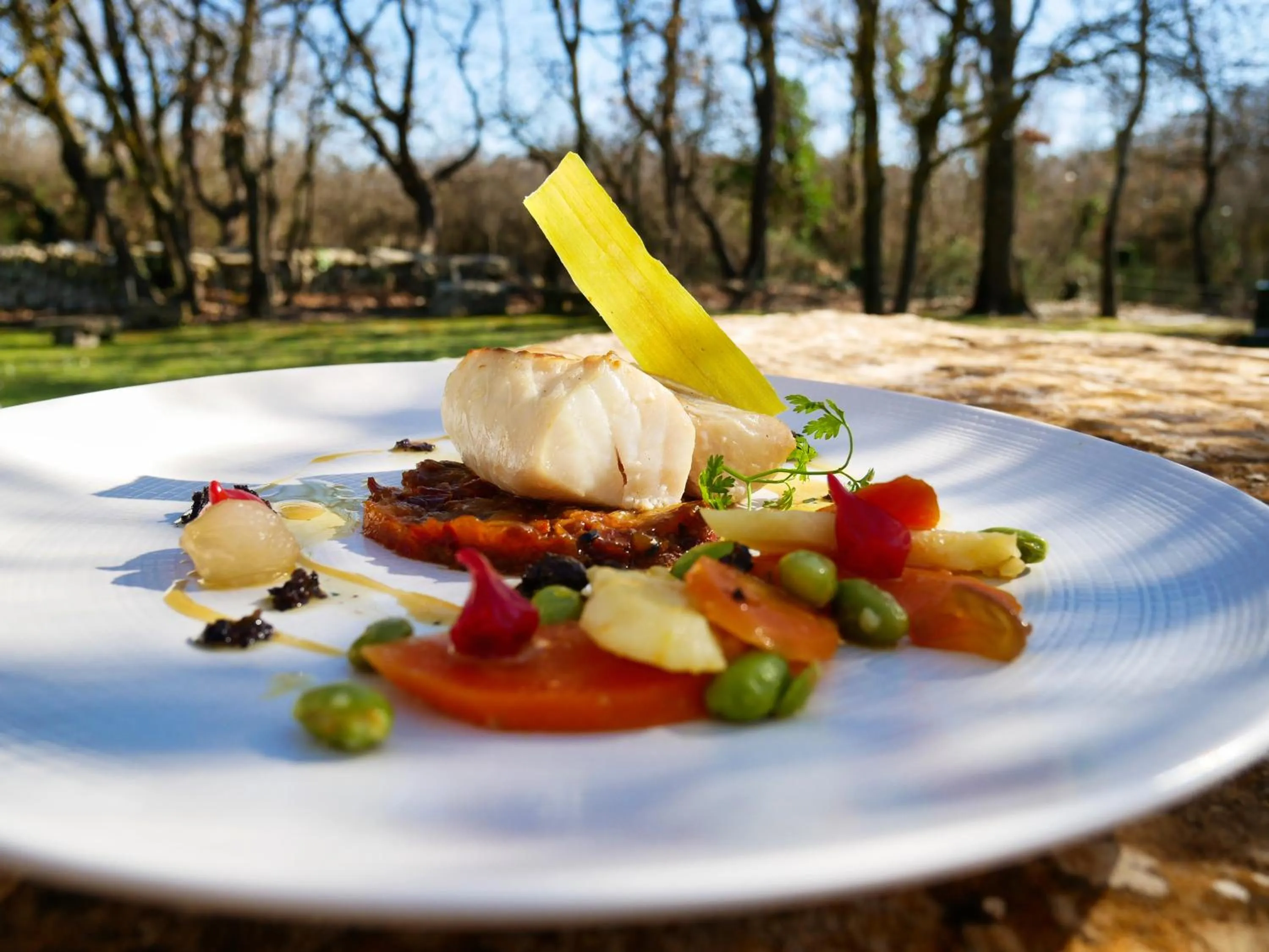 Restaurant/places to eat in Mas De La Senancole & Spa