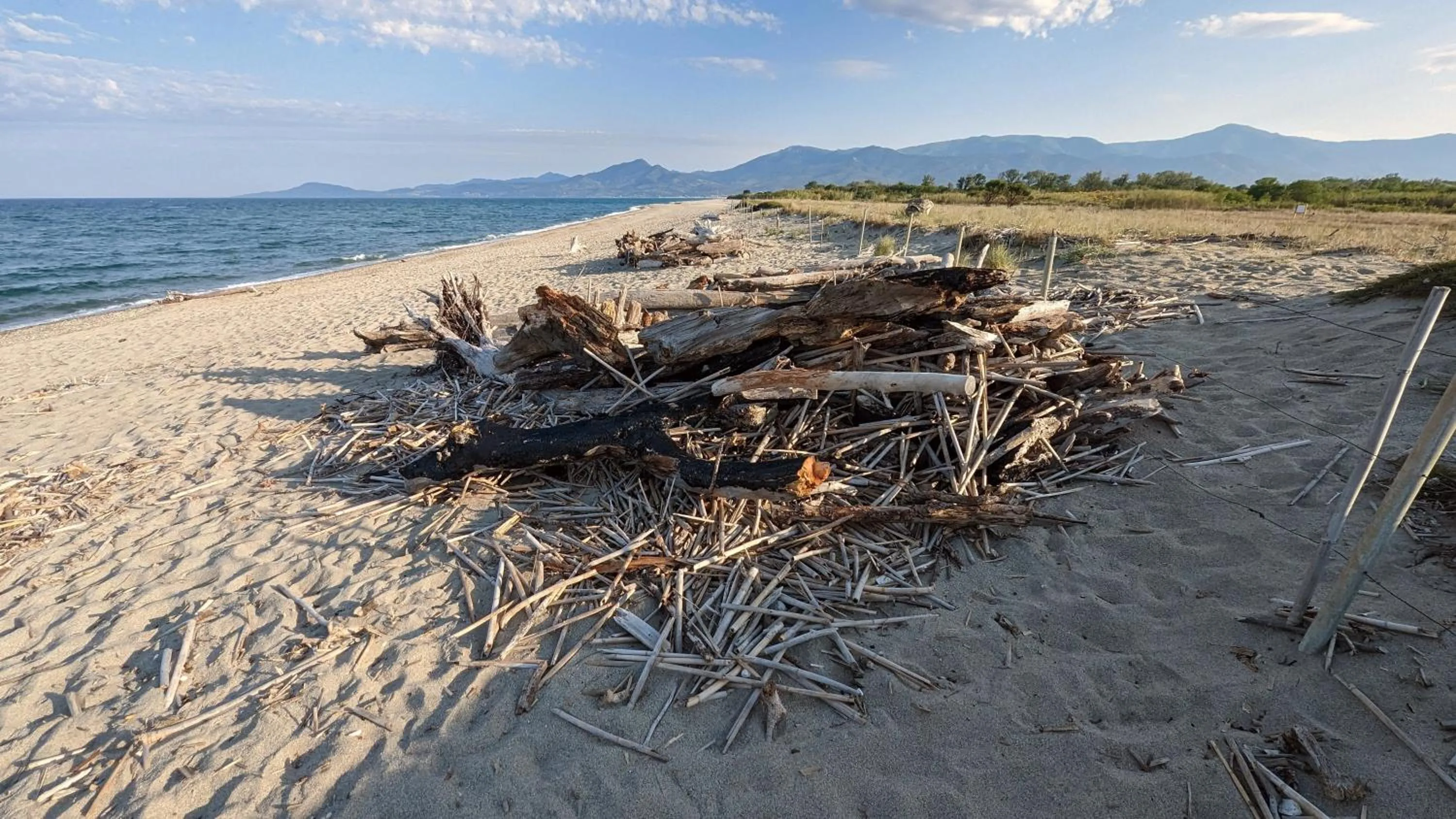 Beach in Hôtel Le Maritime