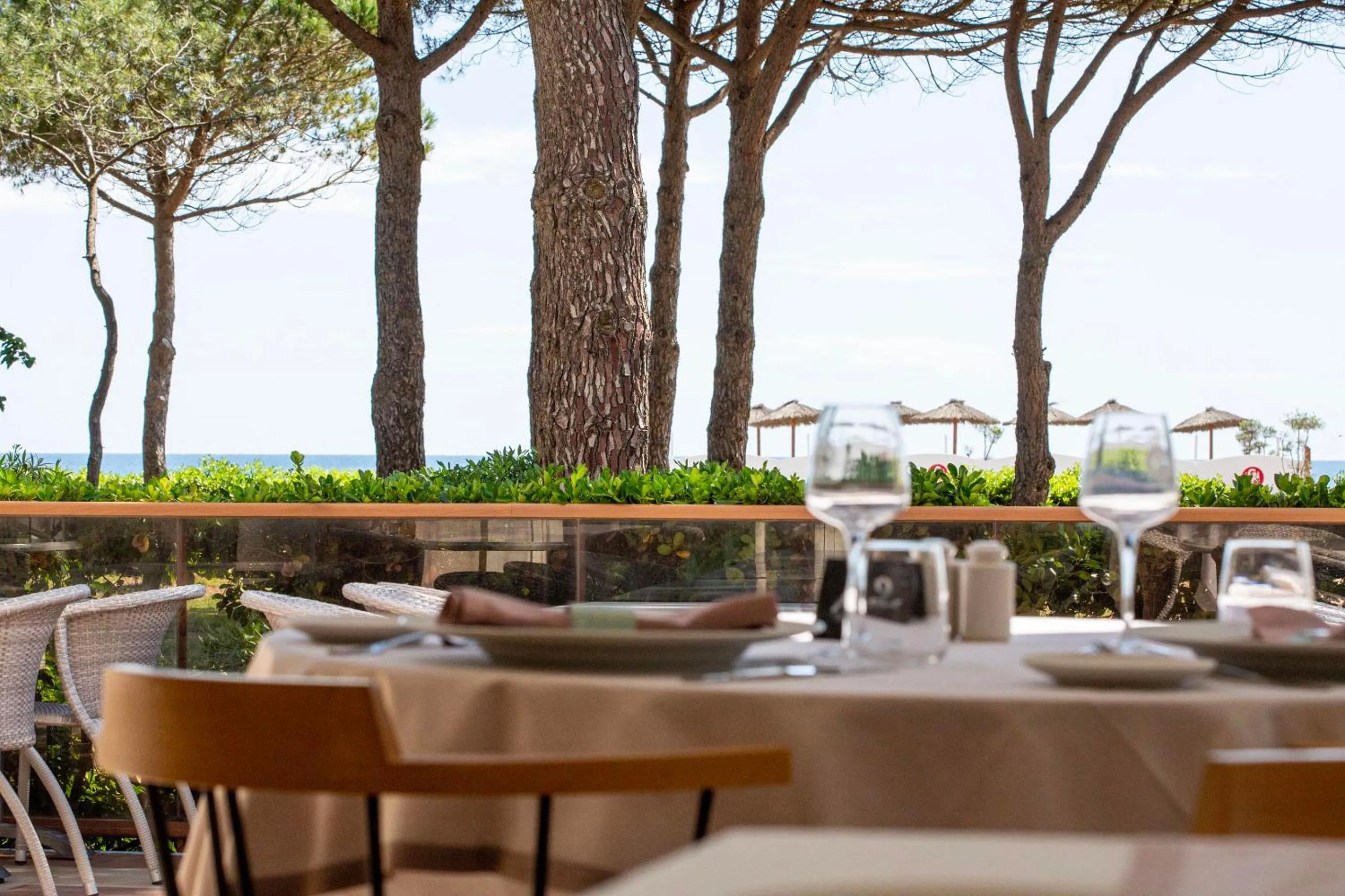 Restaurant/places to eat in Grand Hôtel Du Lido