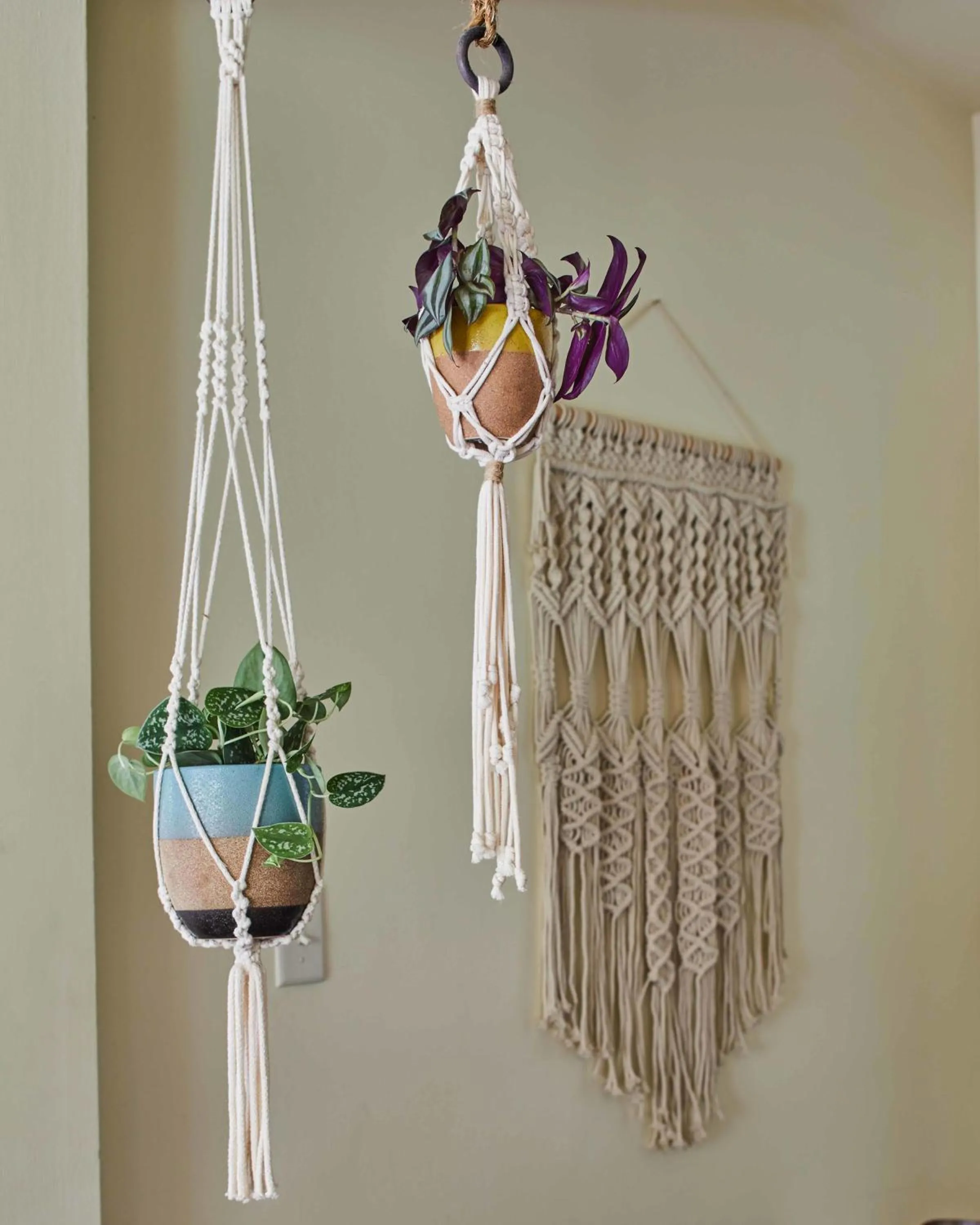 Eden Brae: Historic Southern Gothic Mansion