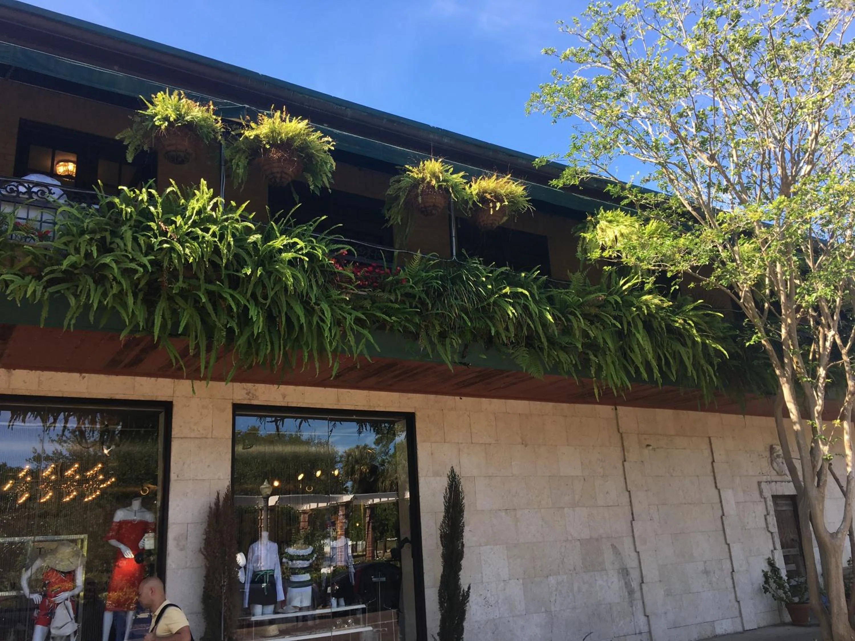 Balcony/Terrace in Park Plaza Hotel Orlando - Winter Park