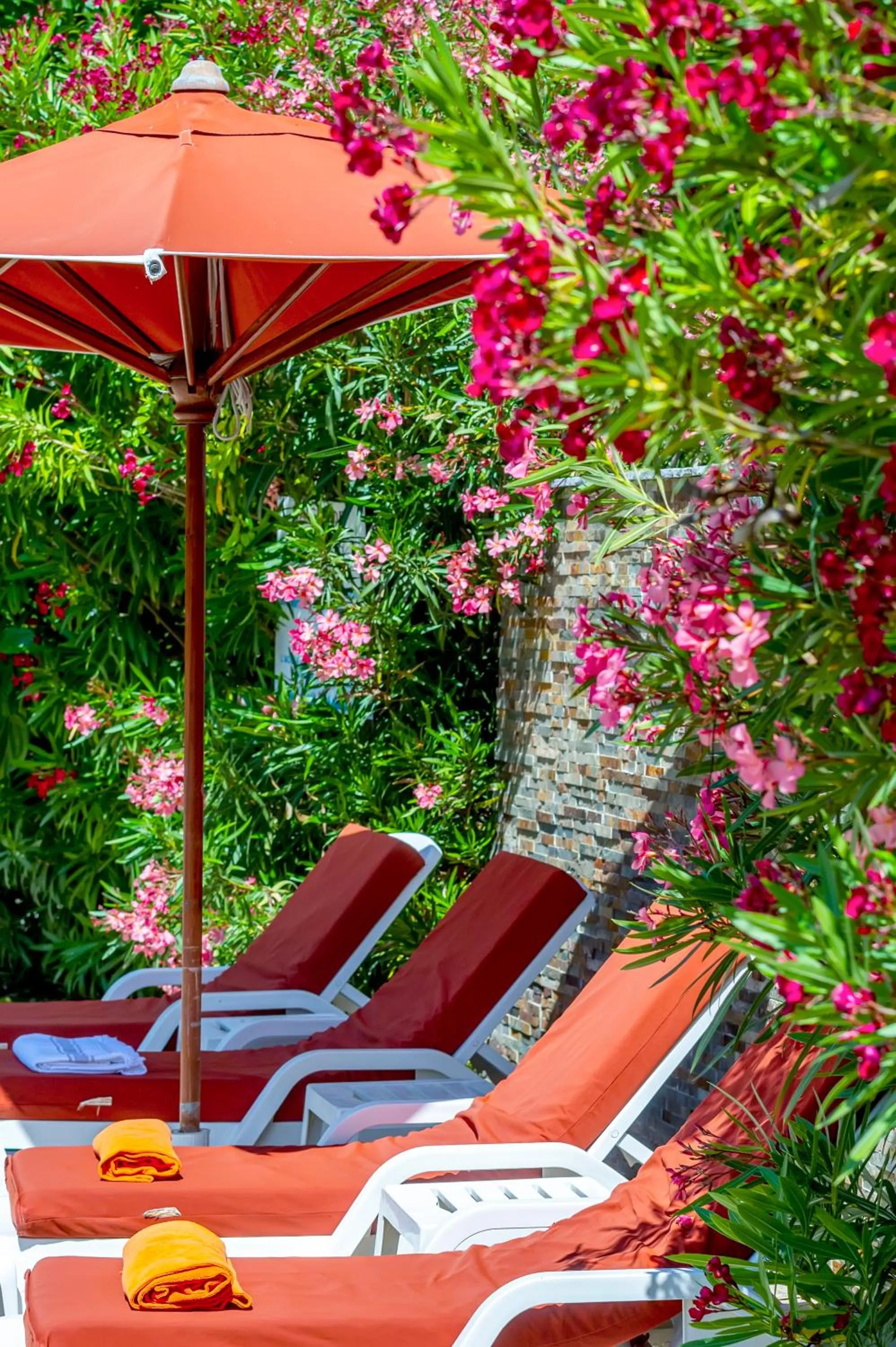 Garden in Servotel Saint-Vincent