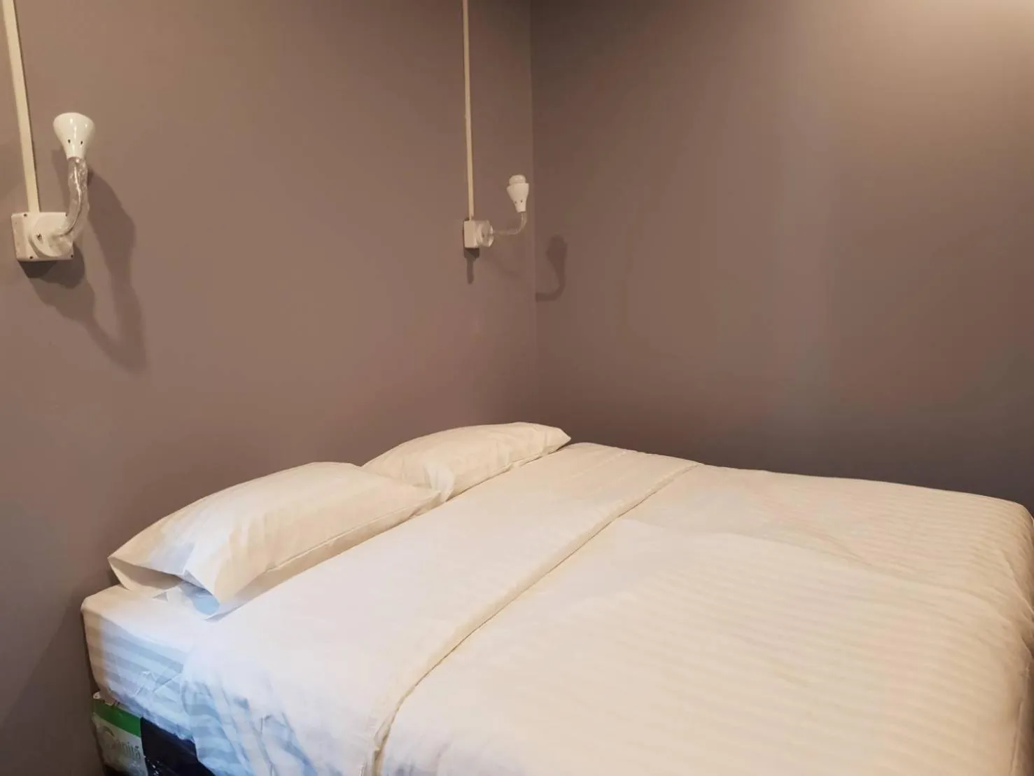 Bed in SleepCatsHostel