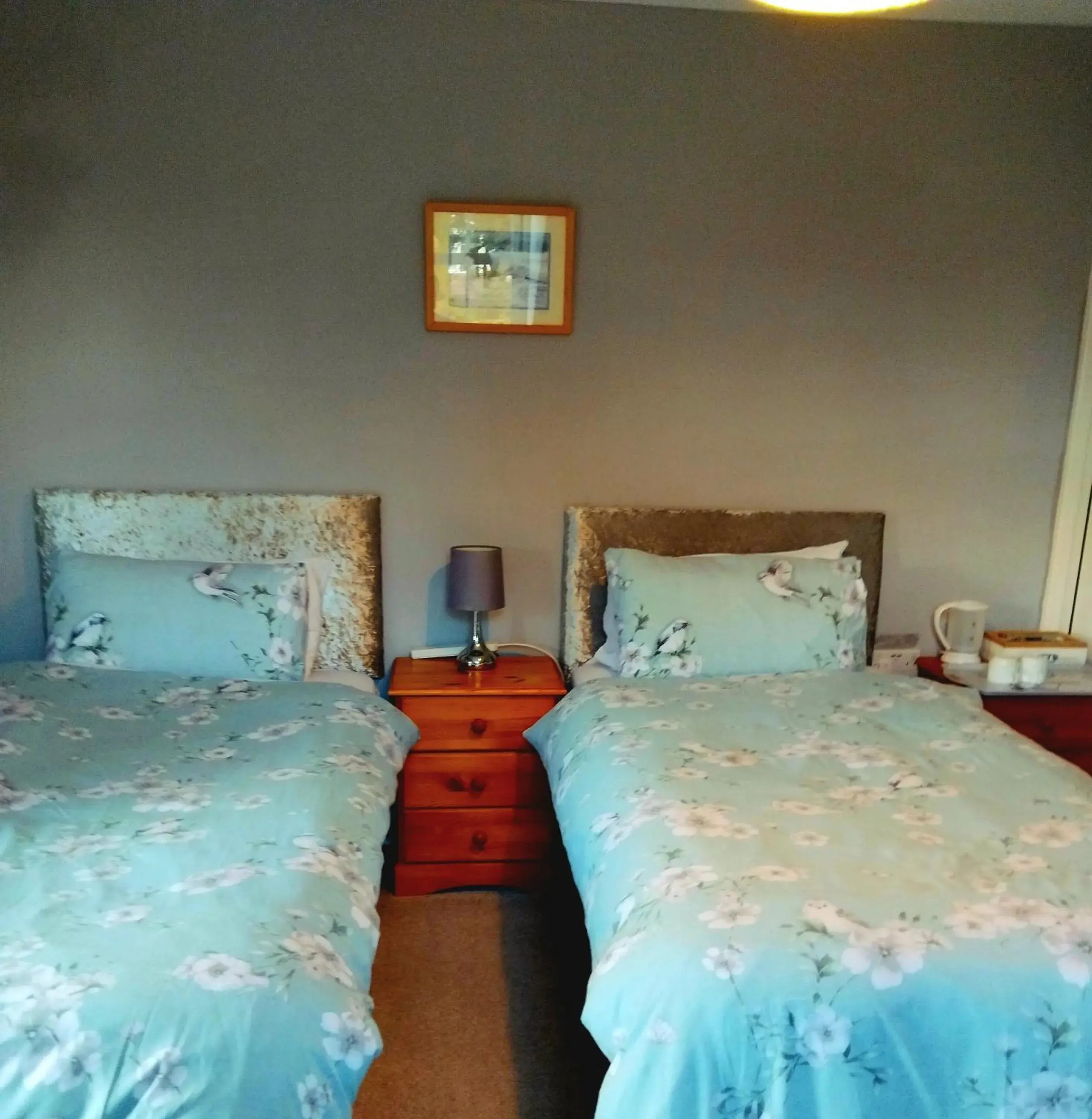 Twin Room with Shared Bathroom - single occupancy in The Countryman Hotel Twin Room with Shared Bathroom - single occupancy in The Countryman Hotel