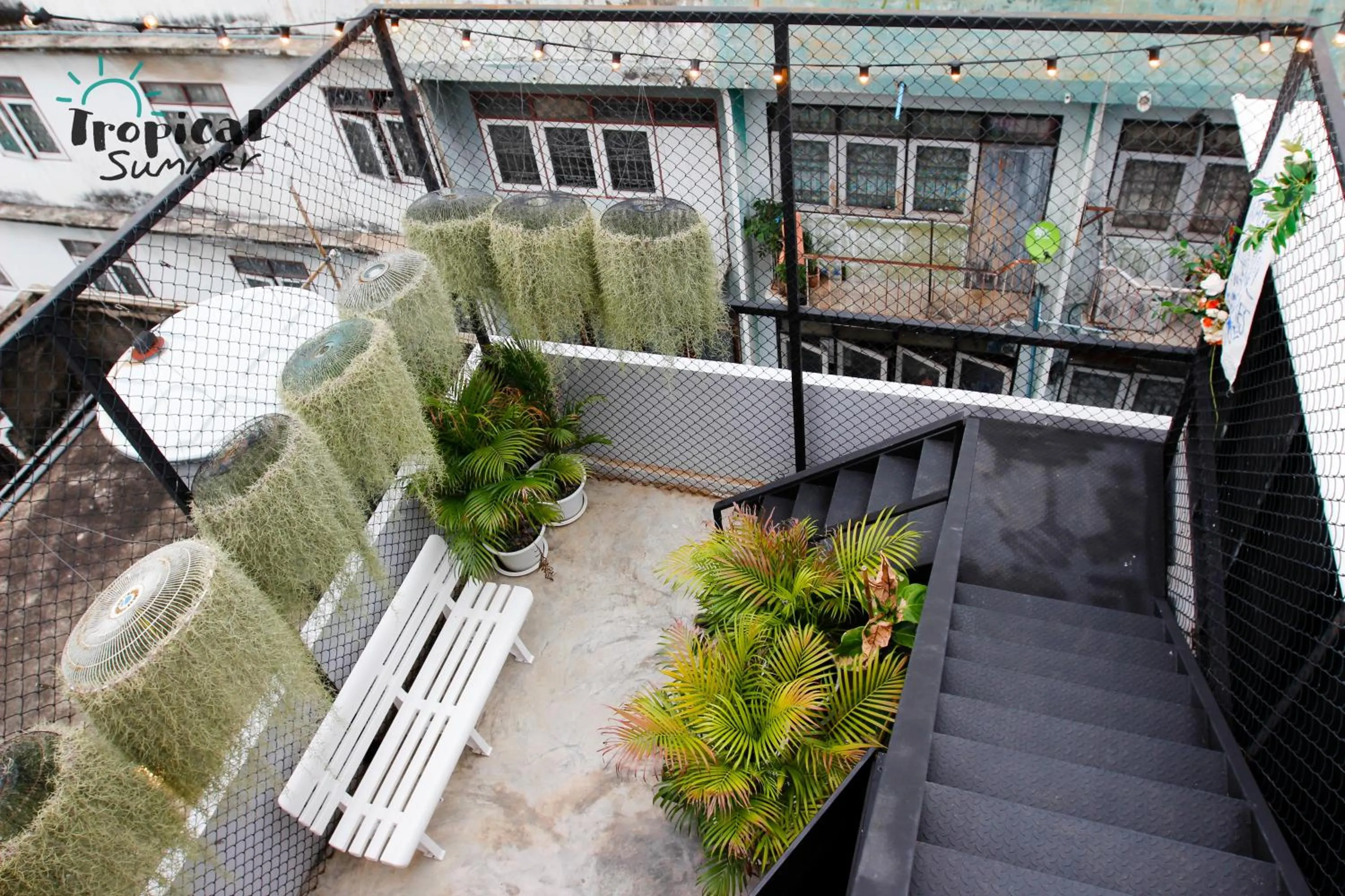 Balcony/Terrace in Tropical Summer Hostel