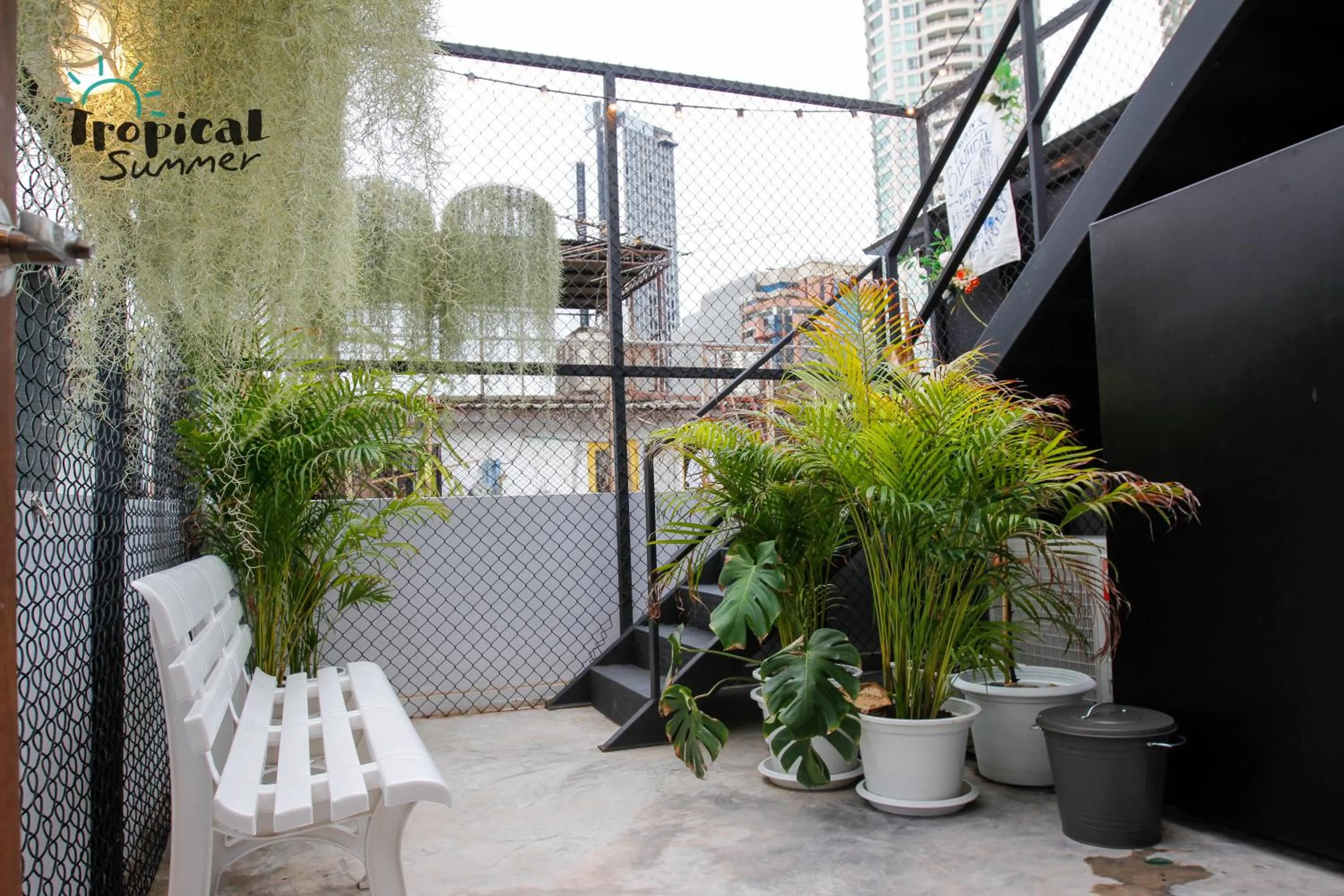 Garden in Tropical Summer Hostel