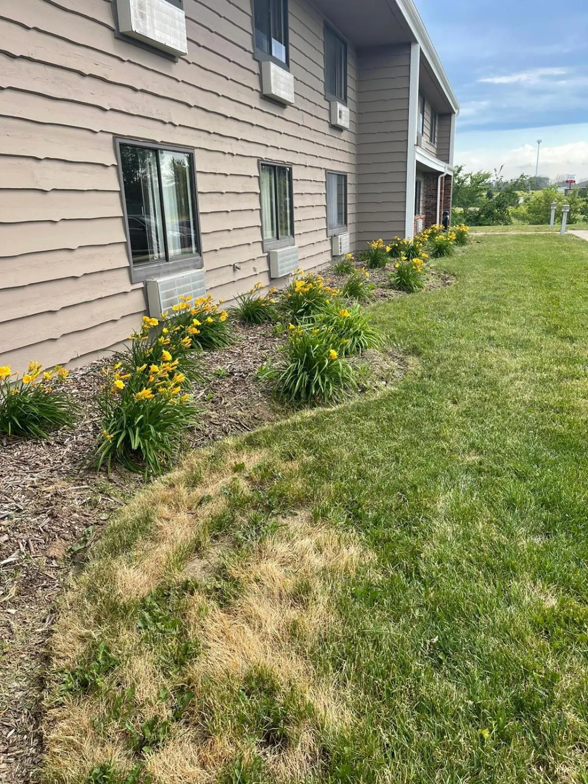 Property building in The Belgium Inn & Suites