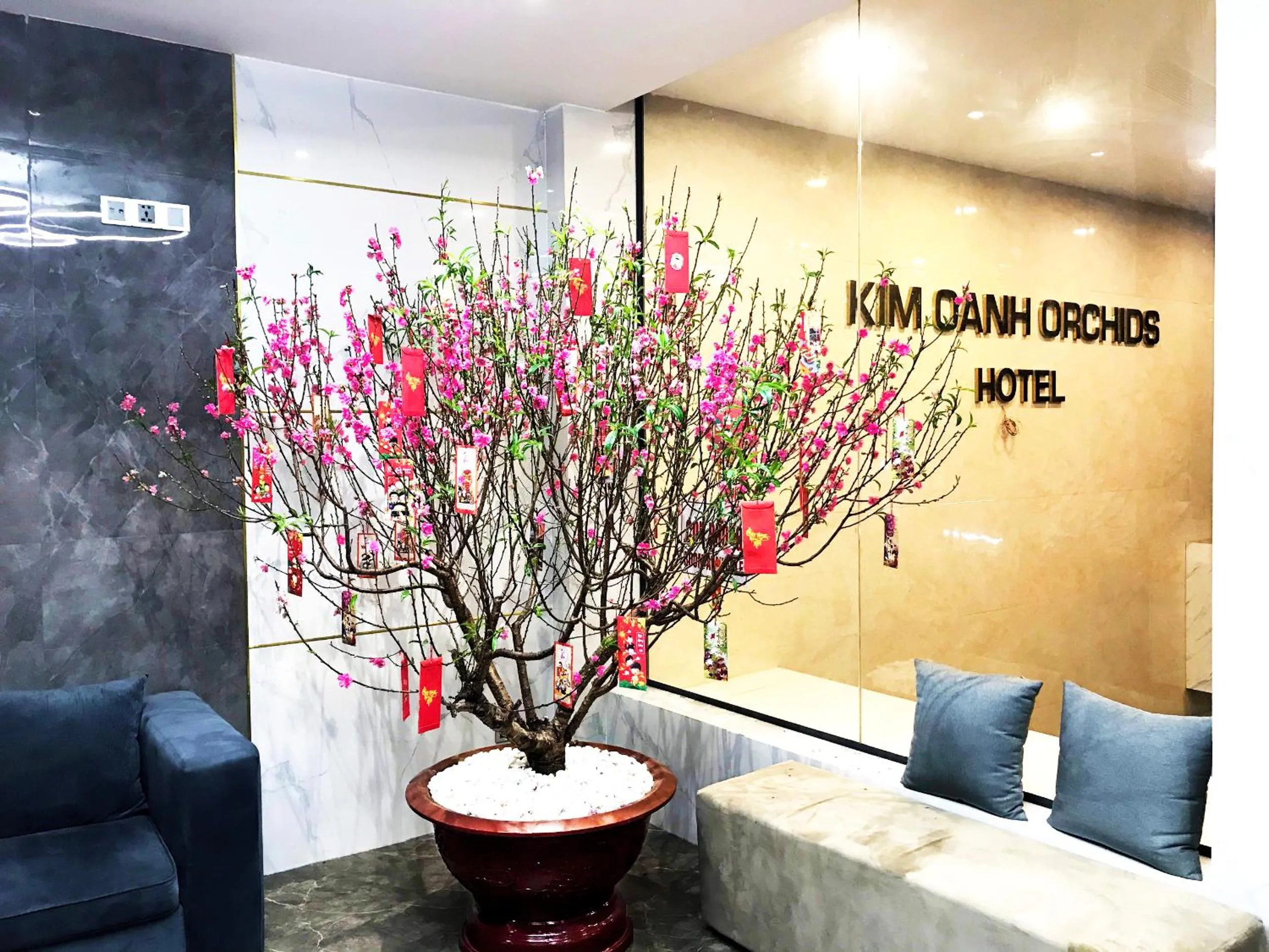 Lobby or reception in Kim Oanh Orchids Hotel