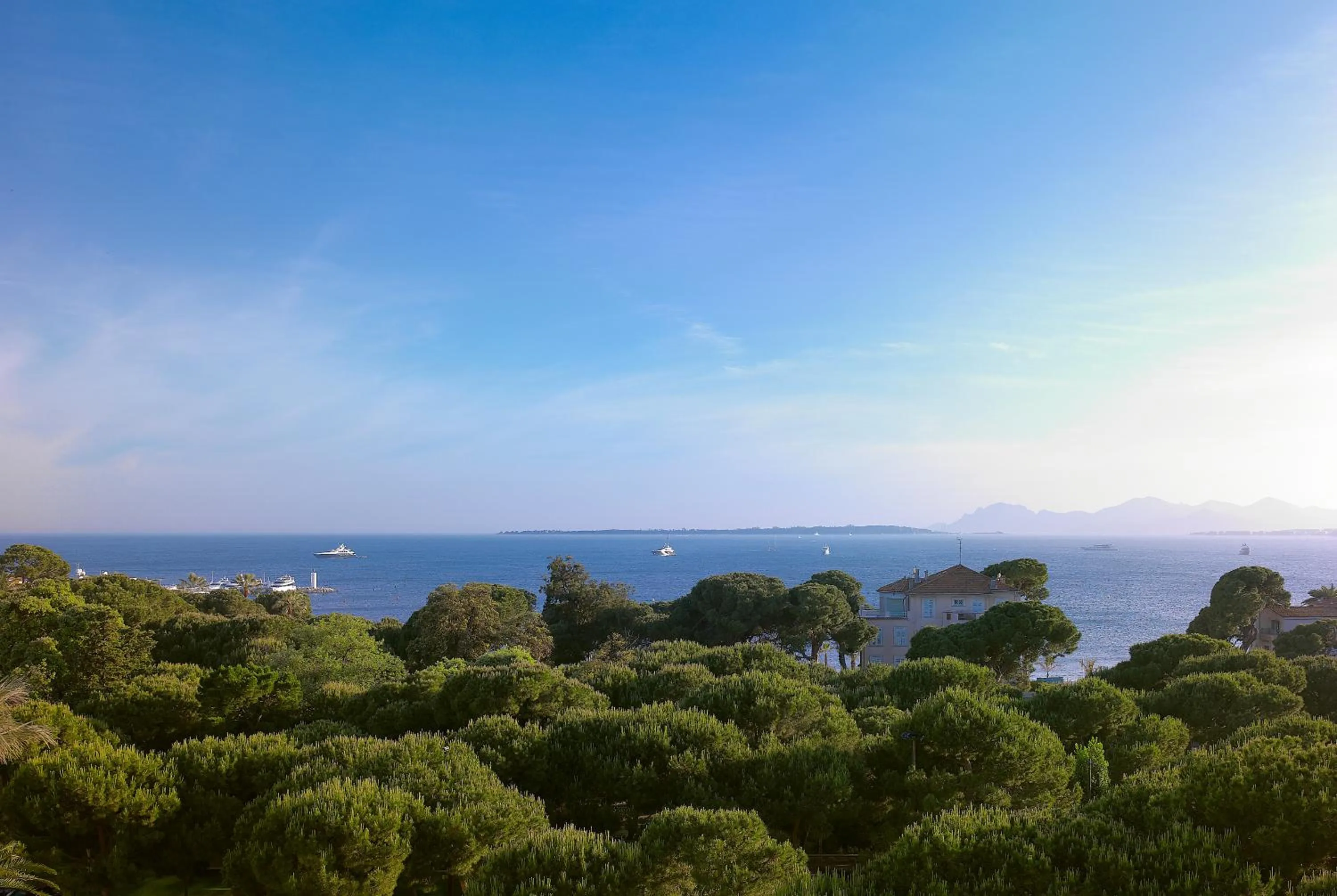 View (from property/room) in Hôtel Juana