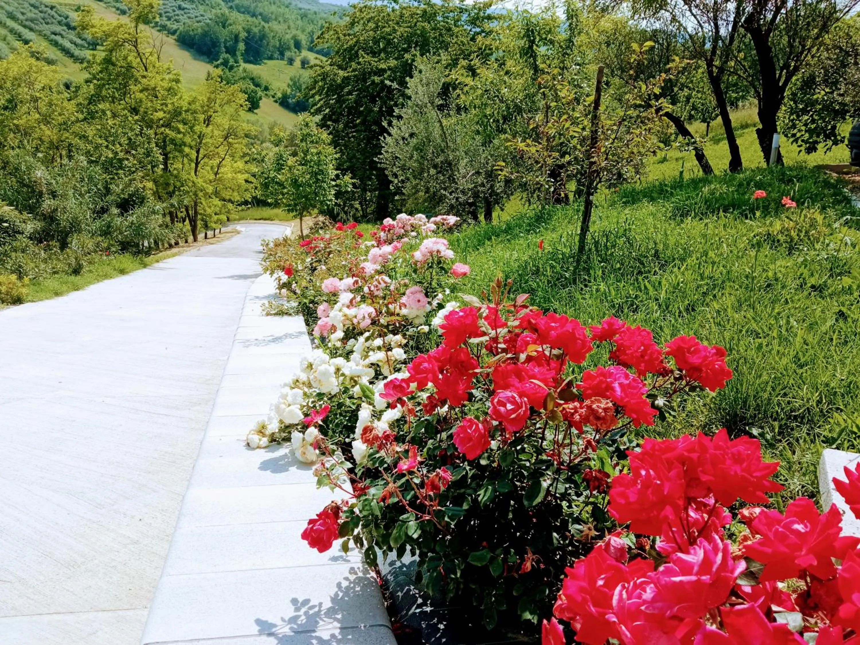 Natural landscape in Frontemaja
