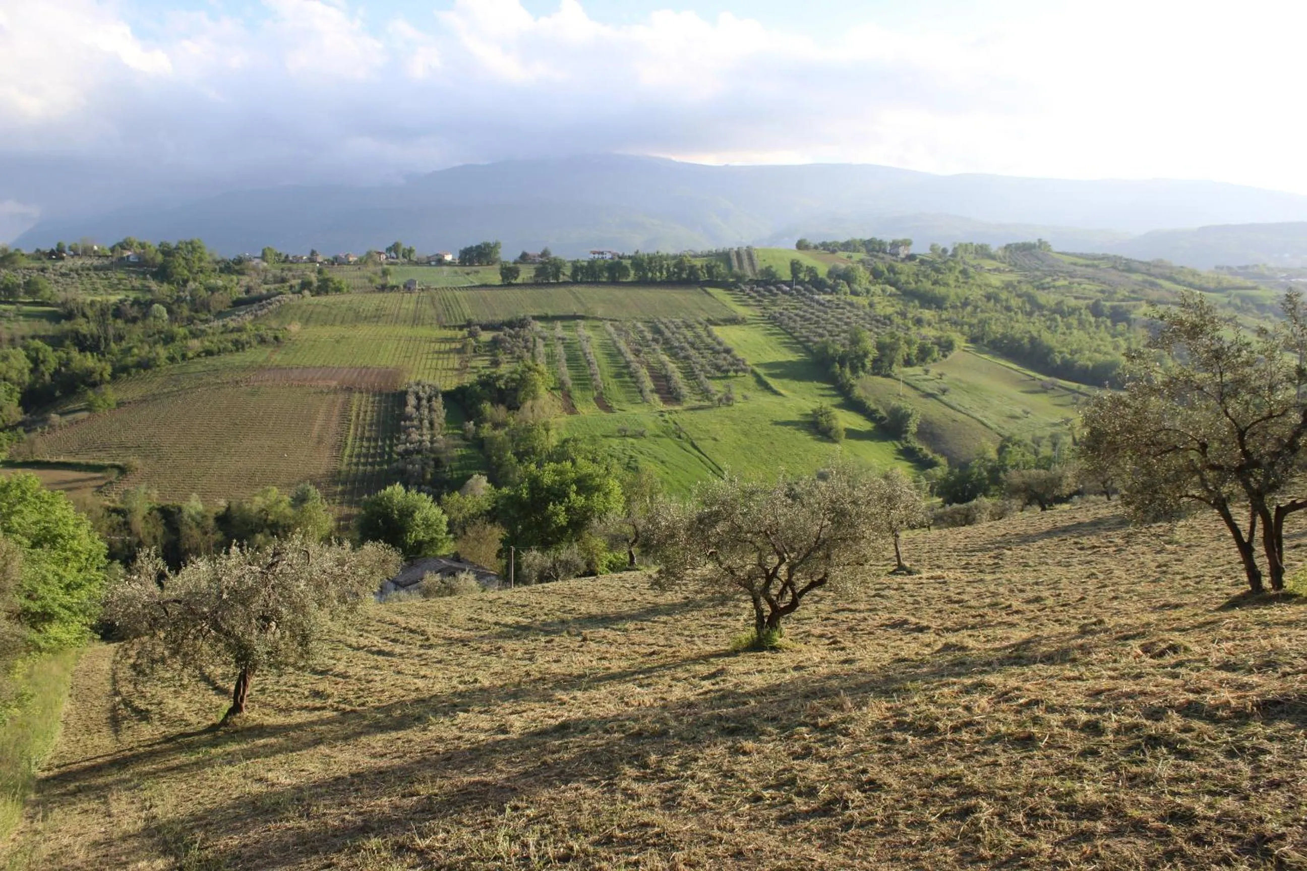 Natural landscape in Frontemaja