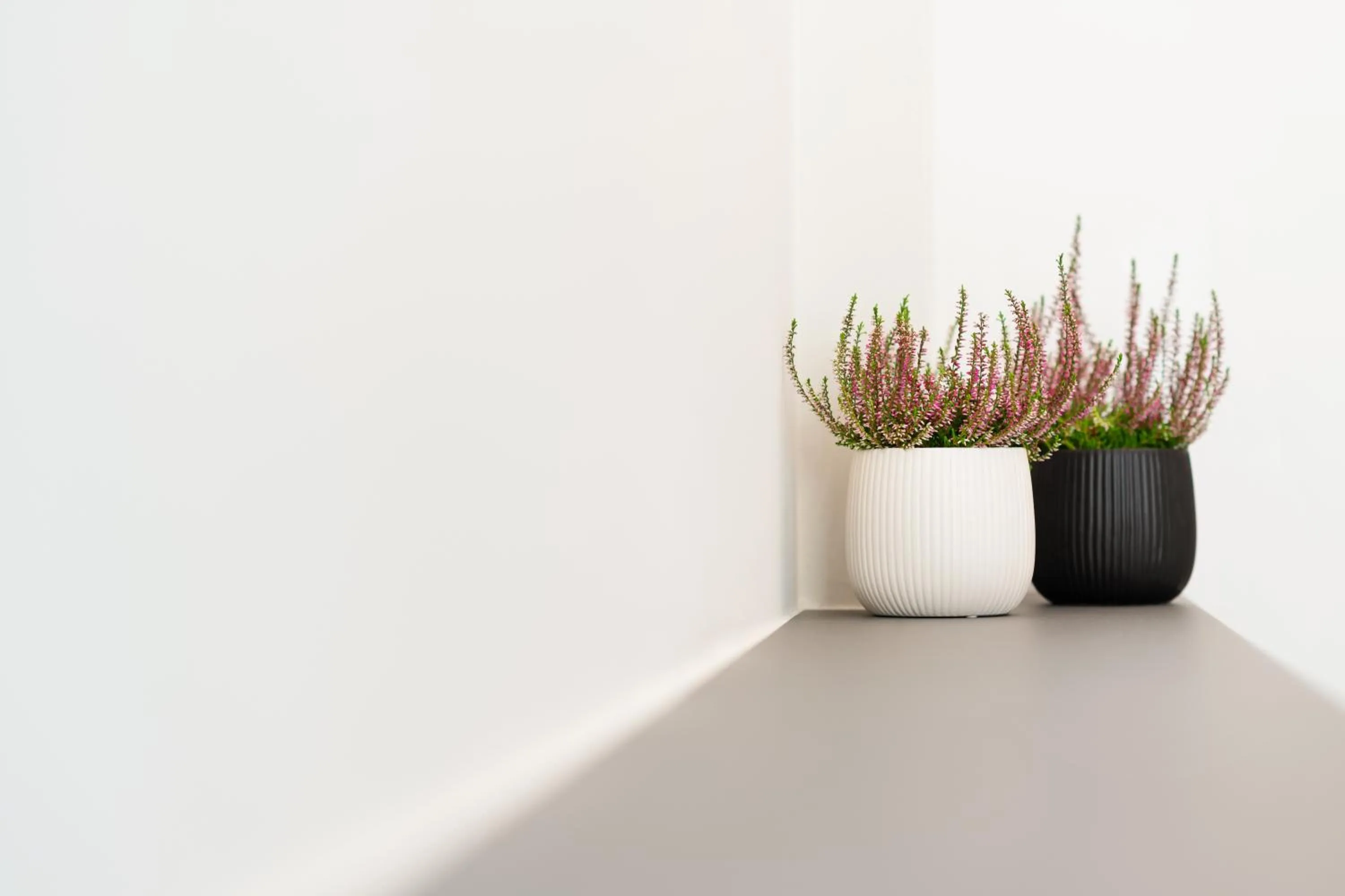 Decorative detail in Thess Residences