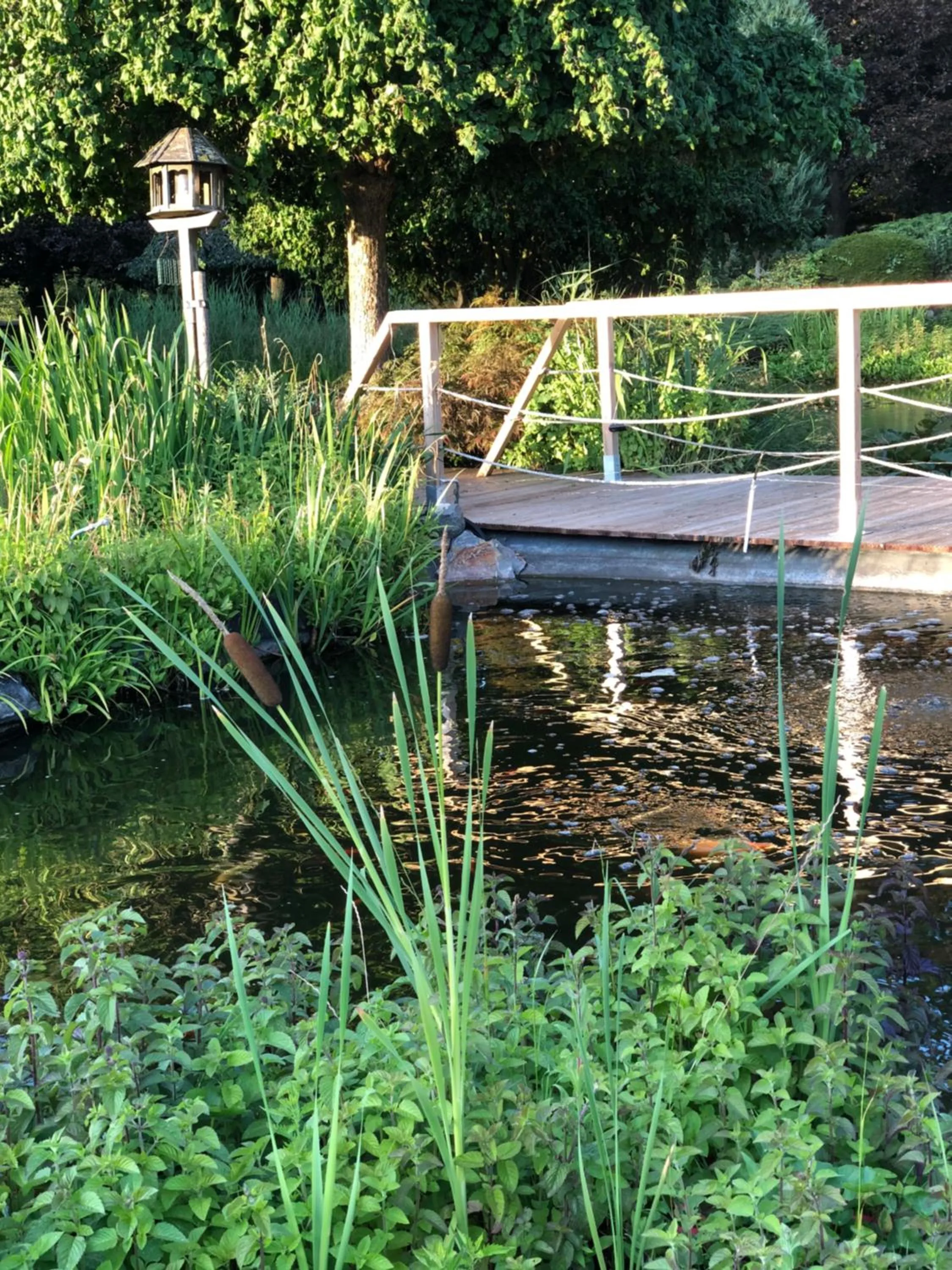 Garden in JARDIN DU MARAIS