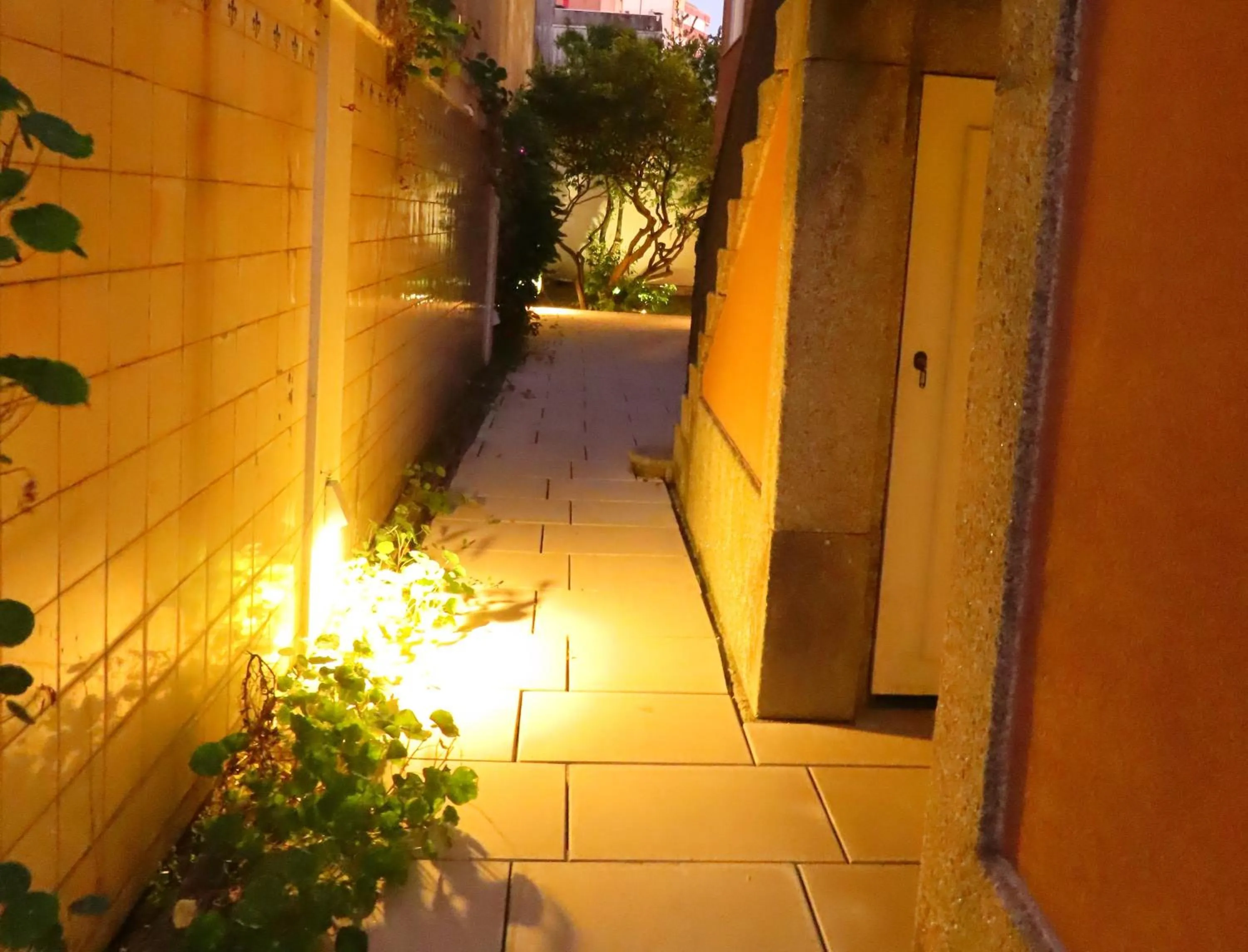 Garden view in CASA RIETSCH