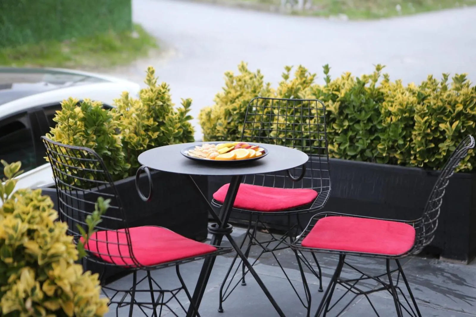 Seating area in lily airport otel