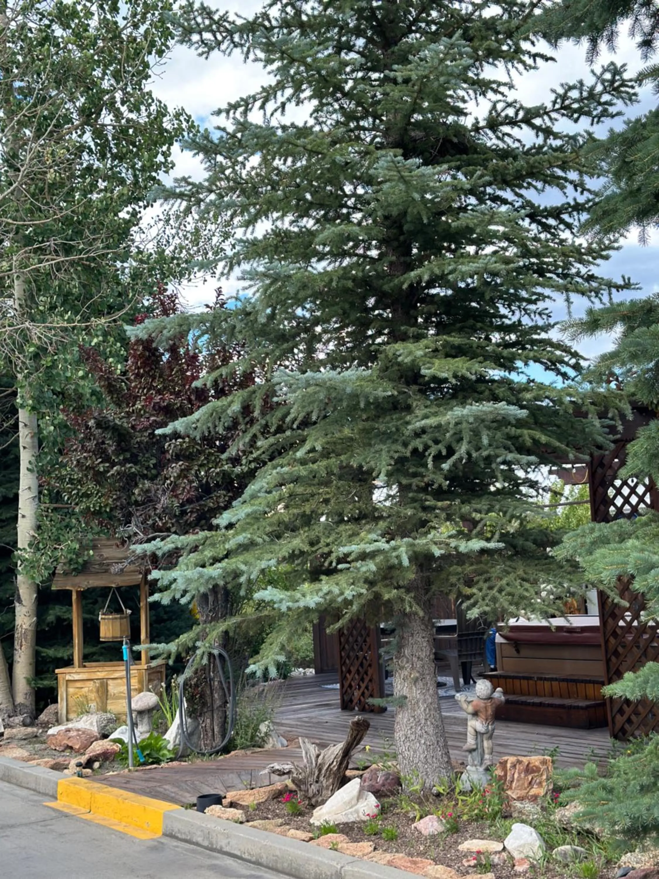 Property building in Browns Canyon Inn