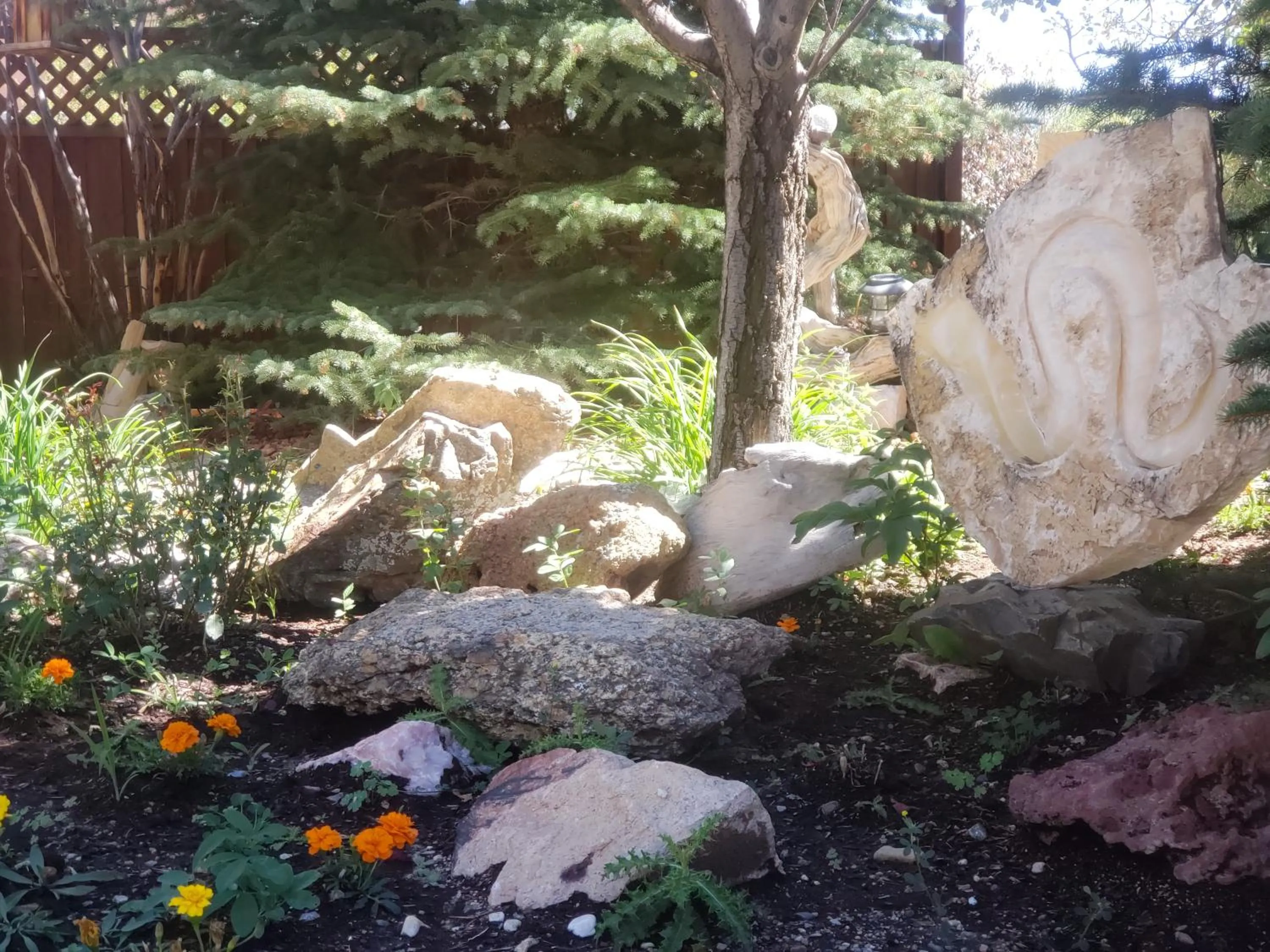 Natural landscape in Browns Canyon Inn