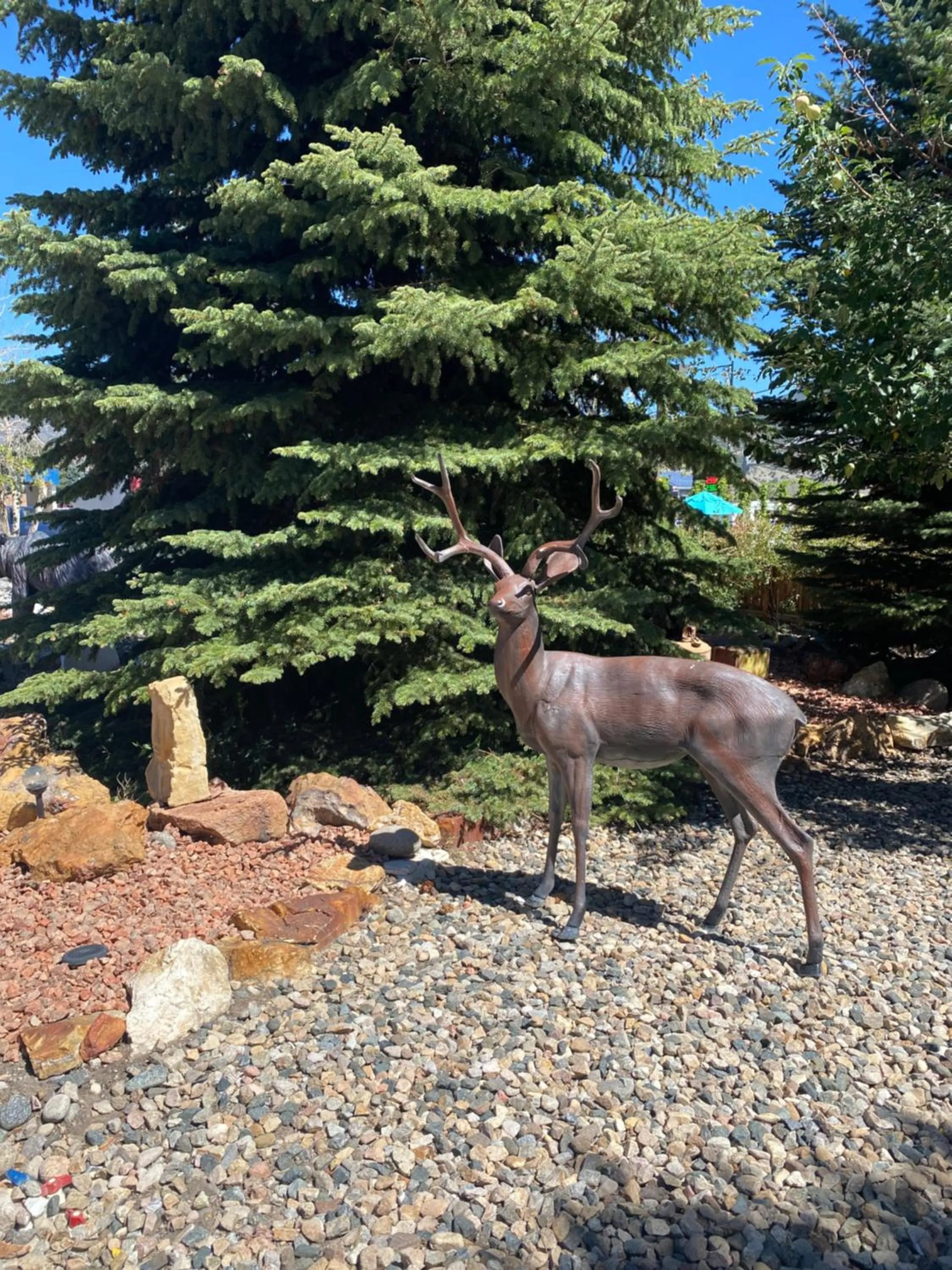 Garden view in Browns Canyon Inn
