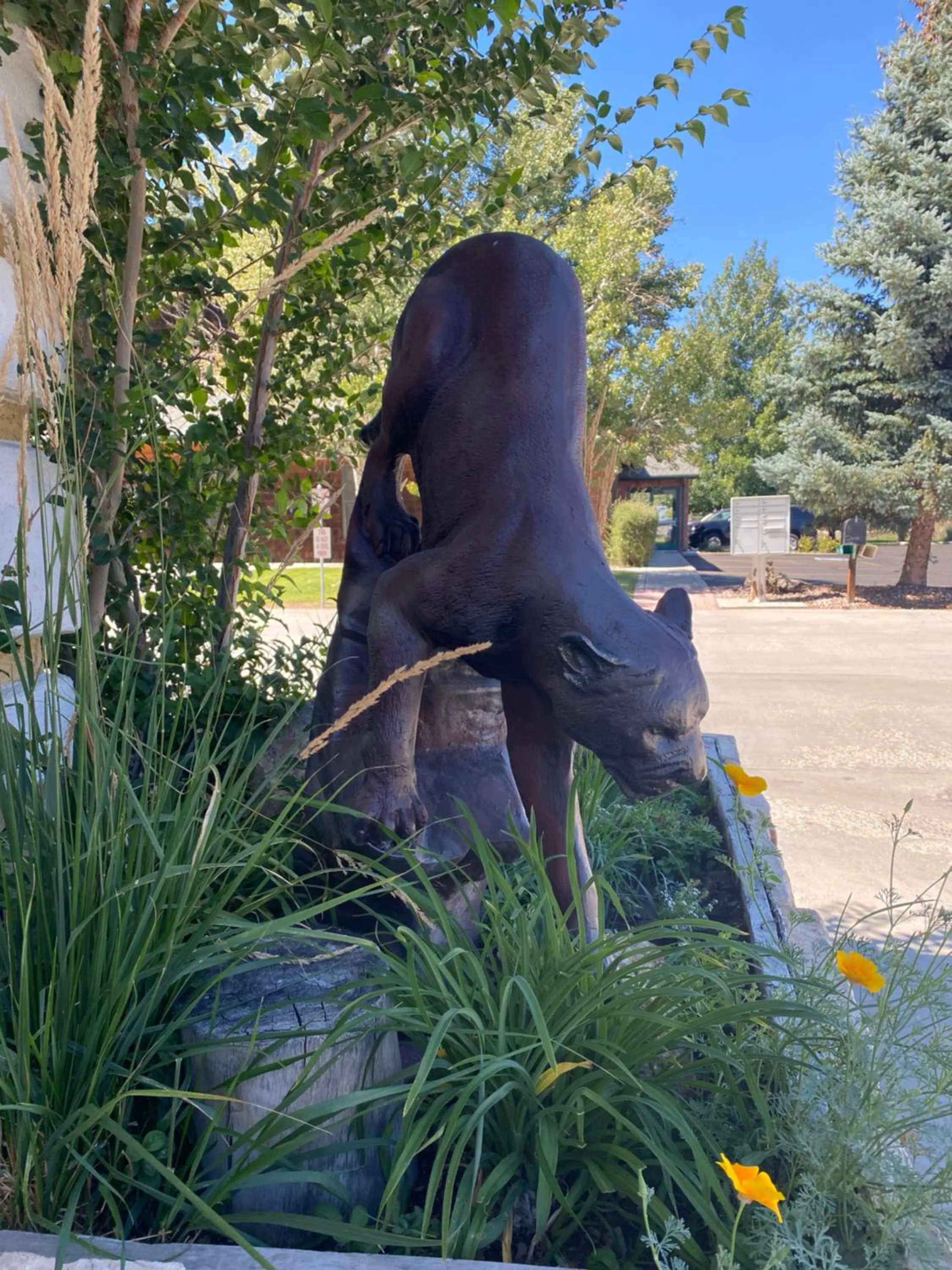 Decorative detail in Browns Canyon Inn