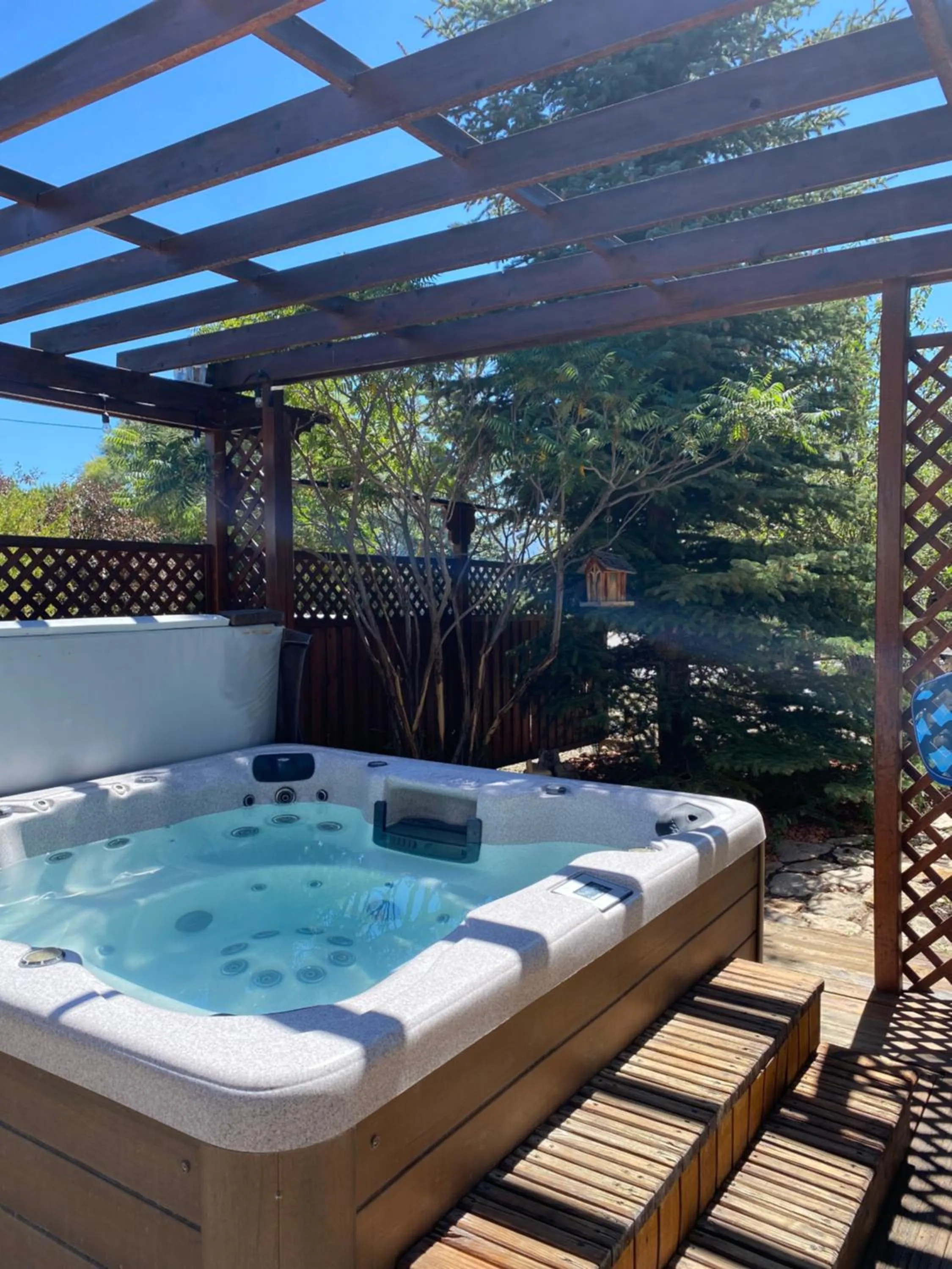 Hot Tub in Browns Canyon Inn