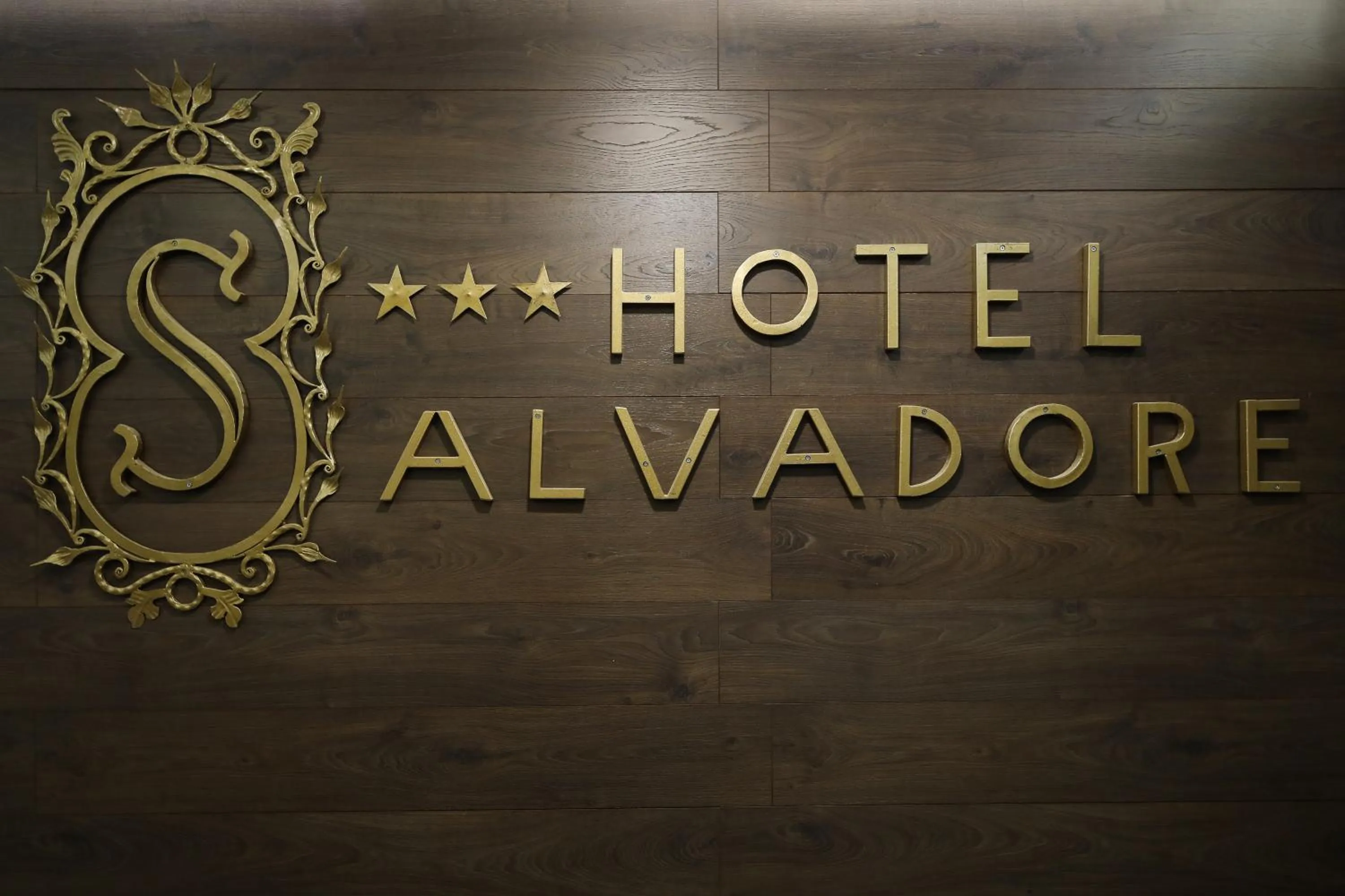 Property logo or sign in Hotel Salvadore