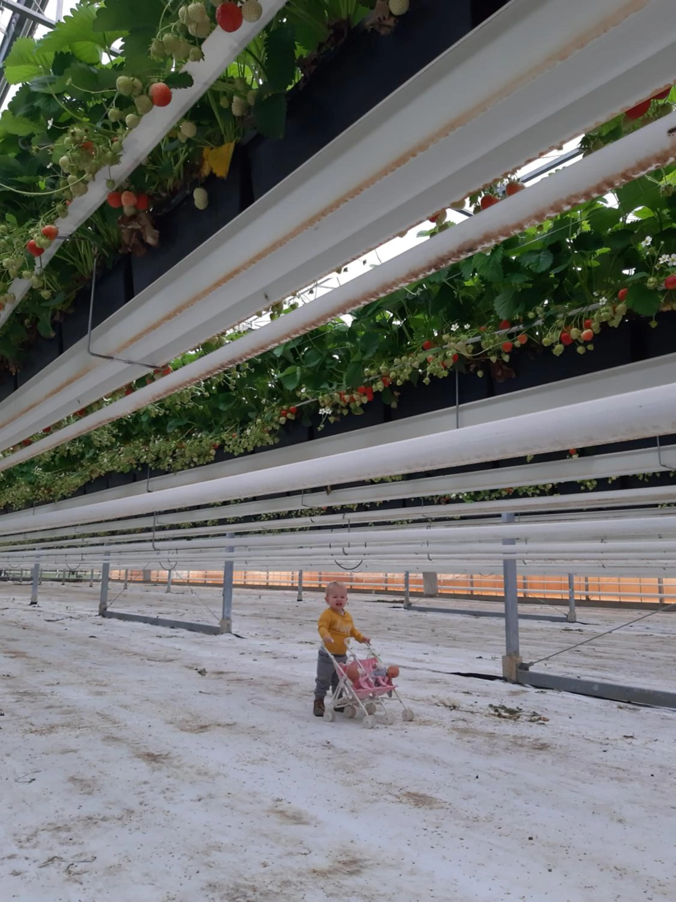 Nearby landmark in De Bonderbei