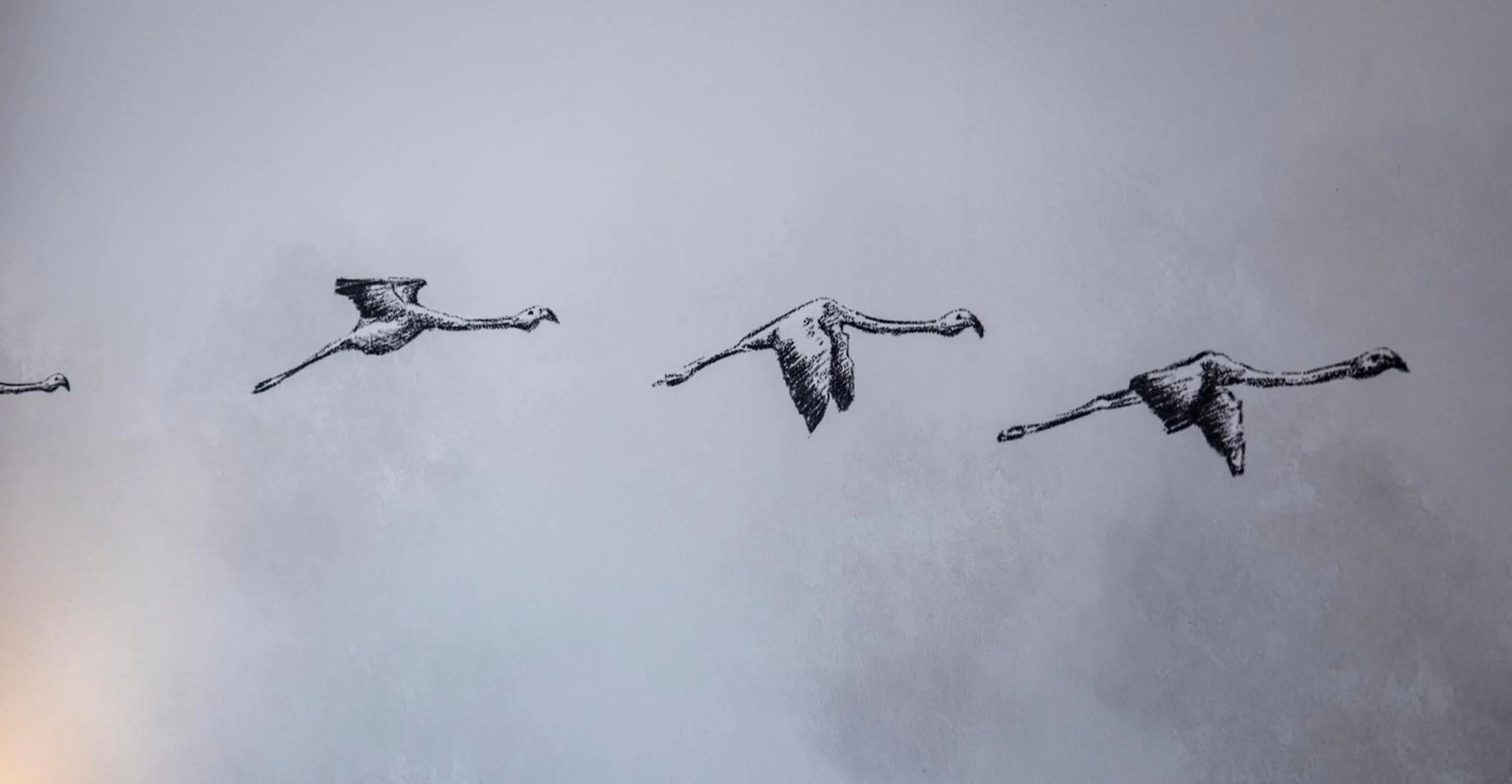 Logis VIGNES BLANCHES*** Hôtel Cosy et restaurant de terroir