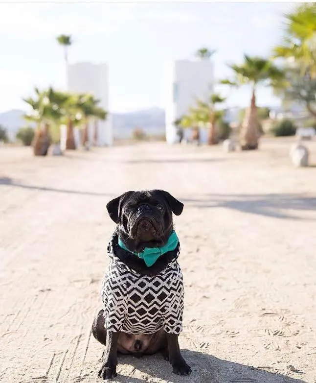 Property building in The Castle House Estate