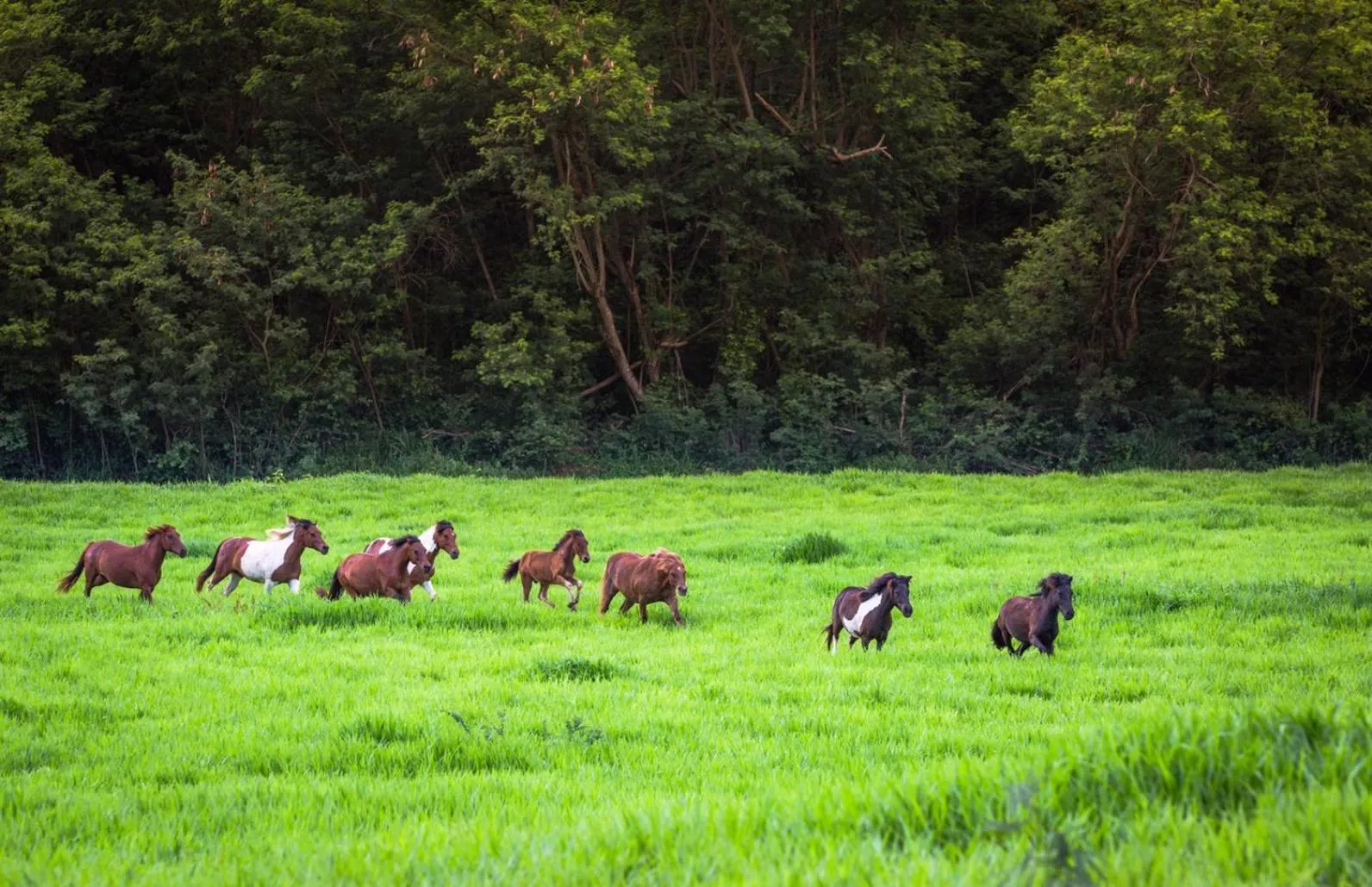 Thongsomboon Club Hotel
