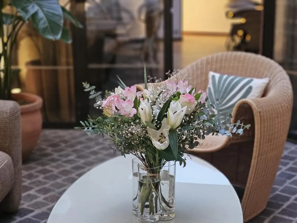 Garden in Hôtel Le Colisée