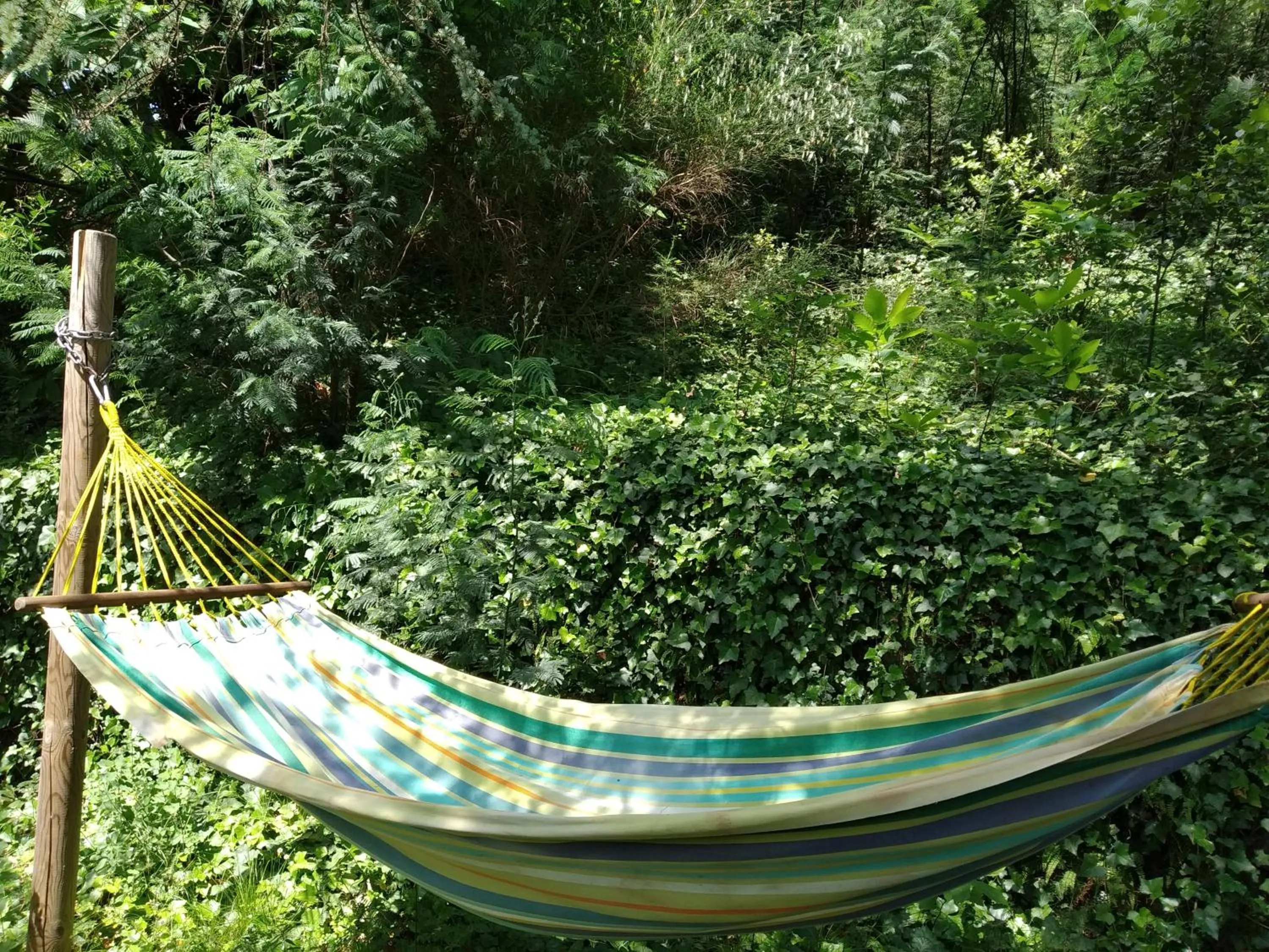 Internal: Not applicable to any particular room in Pura Vida