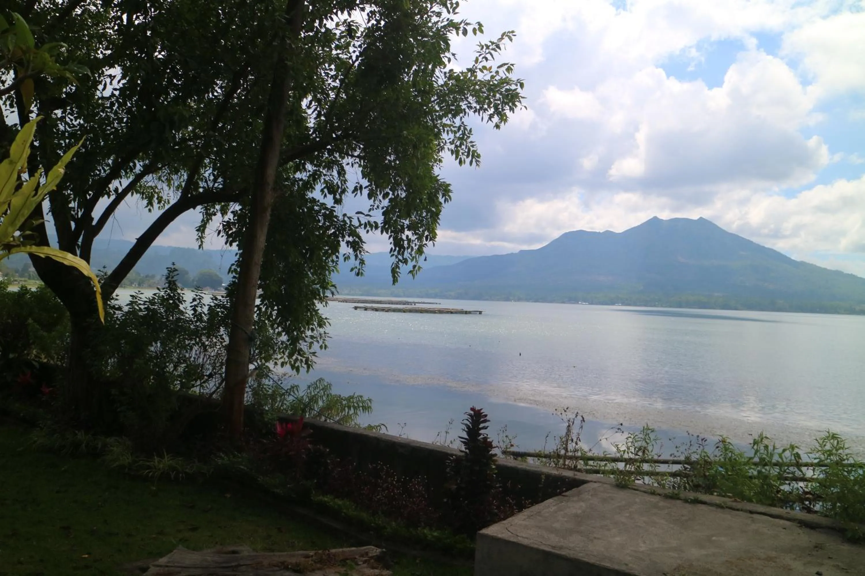 Garden view in Batur Green Lakeview in Kintamani Bali