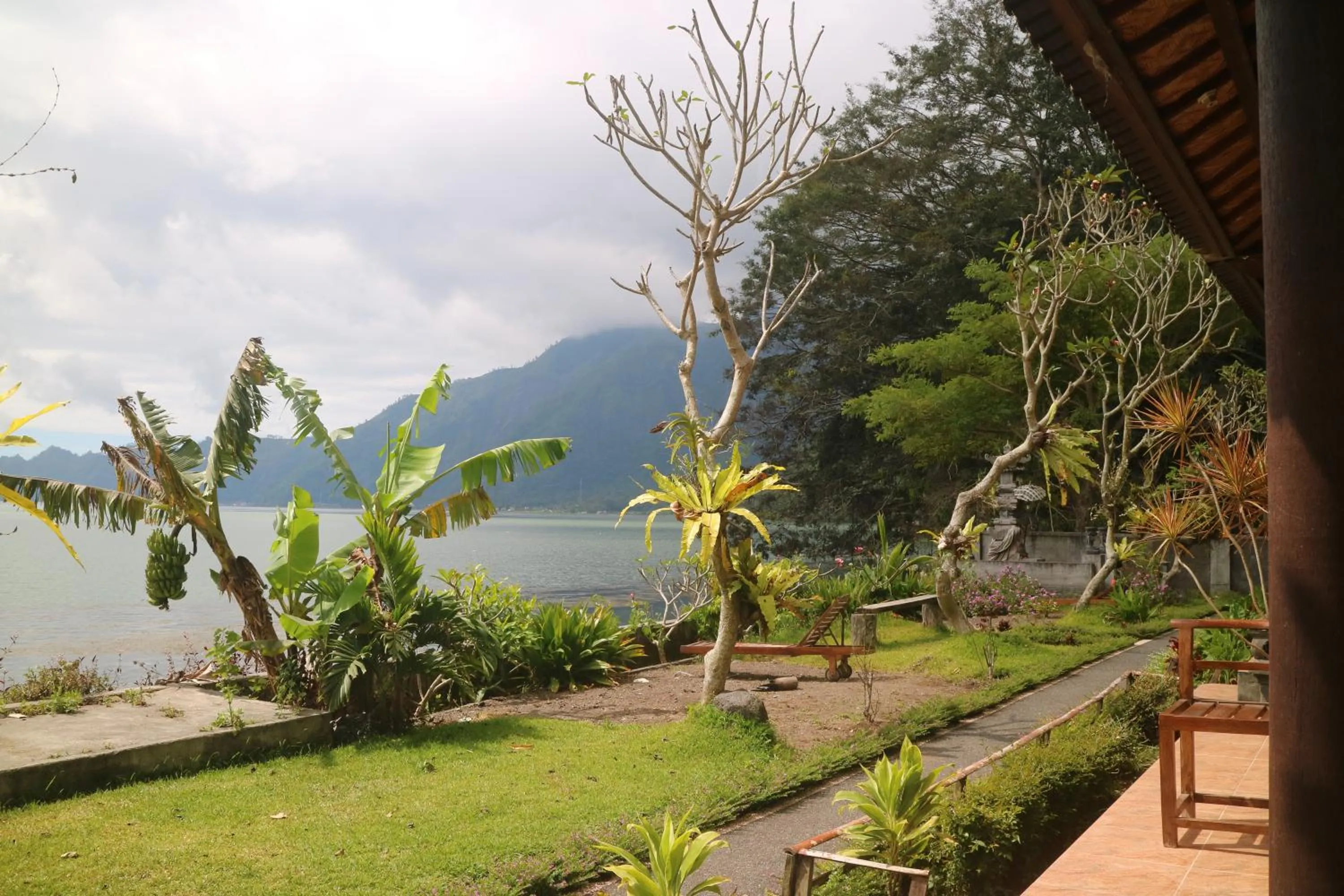 Garden view in Batur Green Lakeview in Kintamani Bali