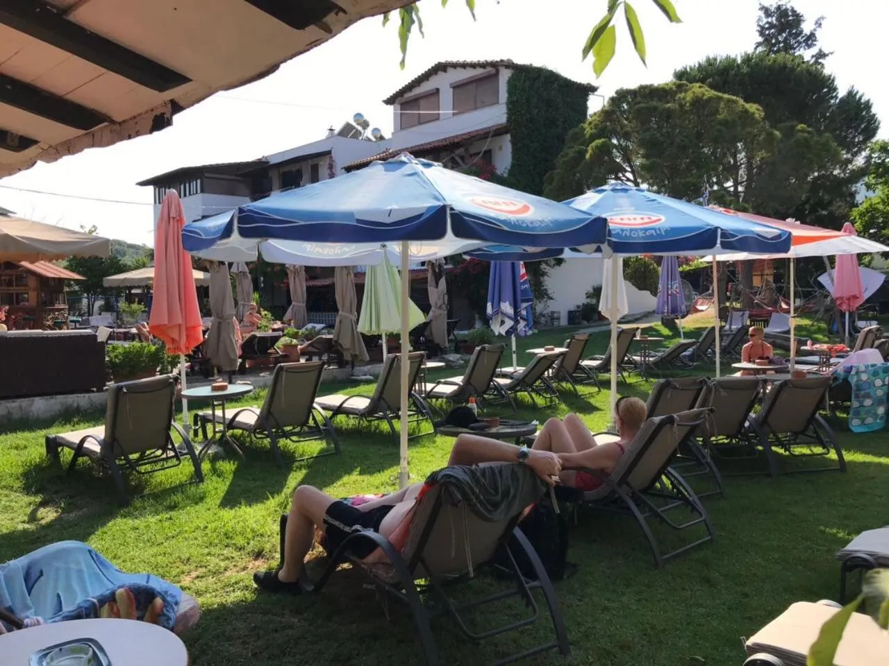 Swimming pool in Oasis